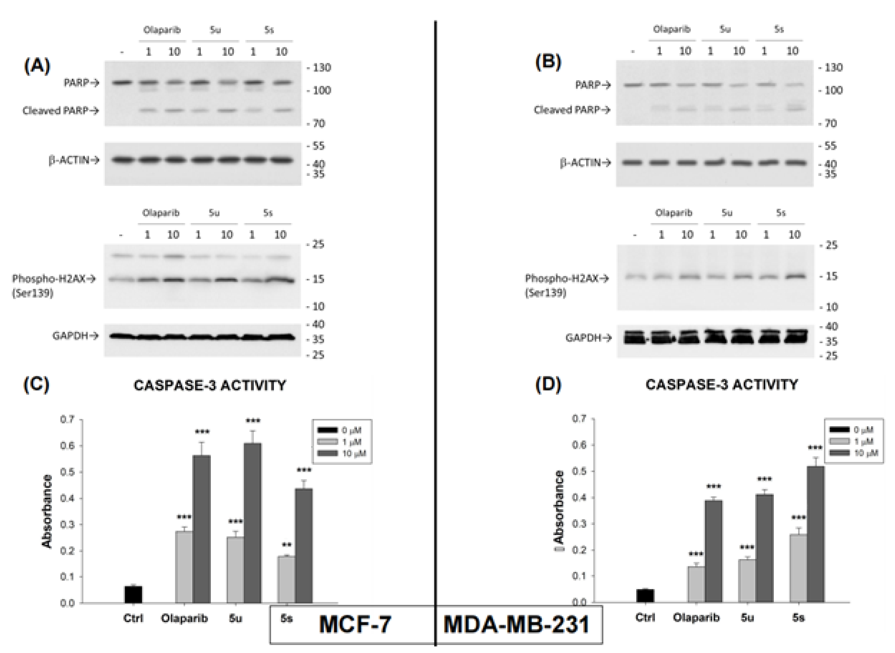 Molecules 27 00703 g004