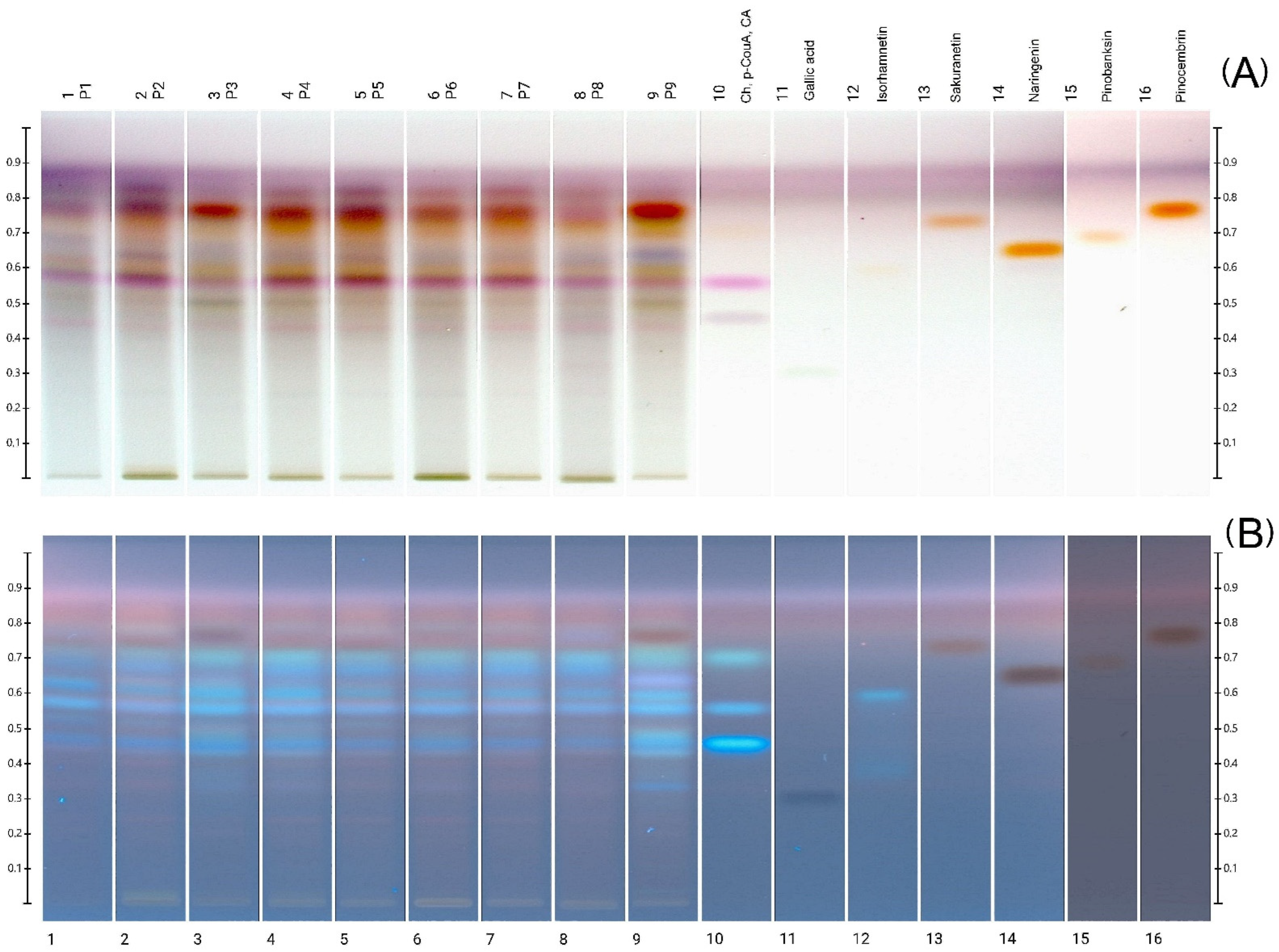 Molecules 27 00725 g001