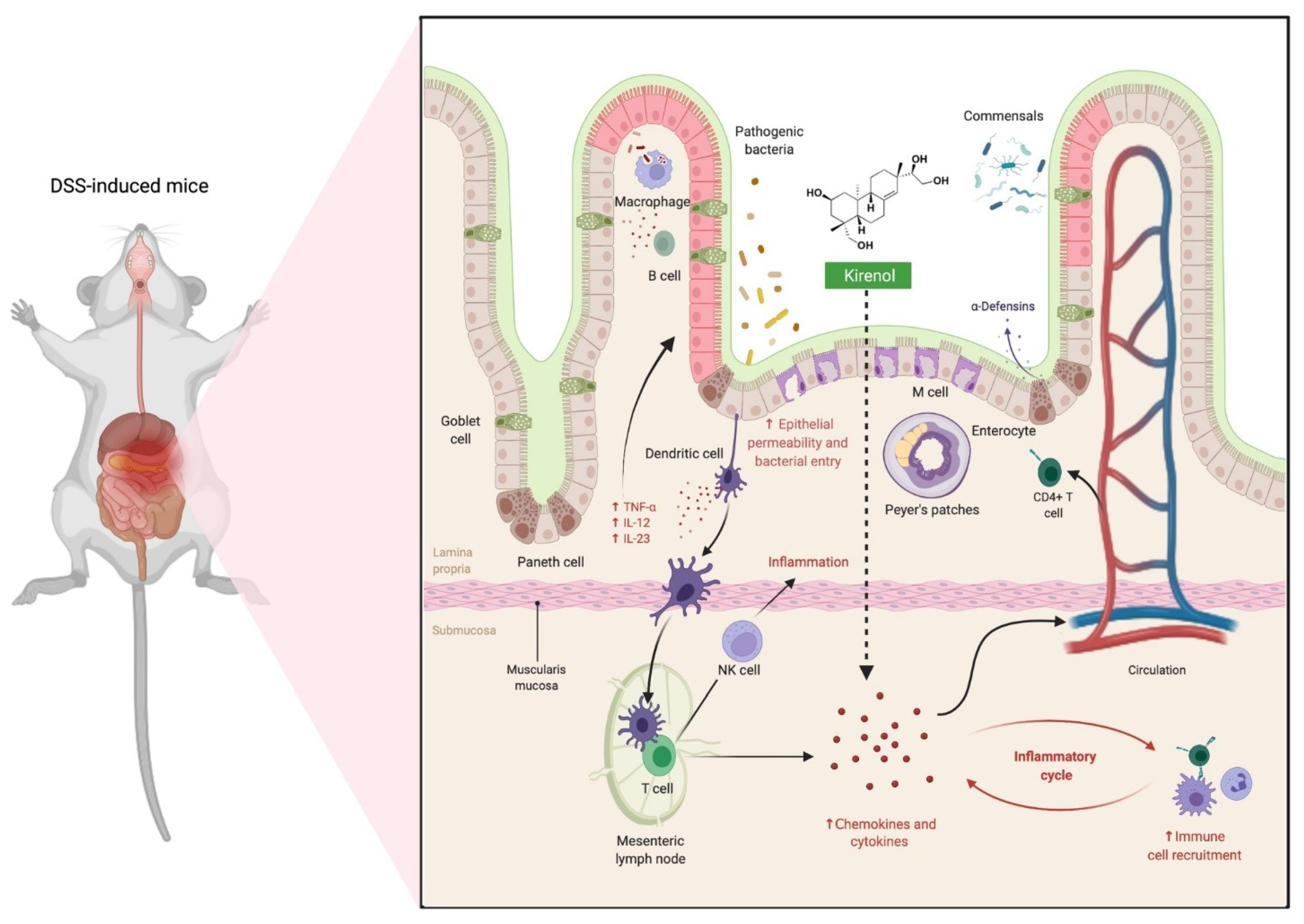 Molecules 27 00734 g005