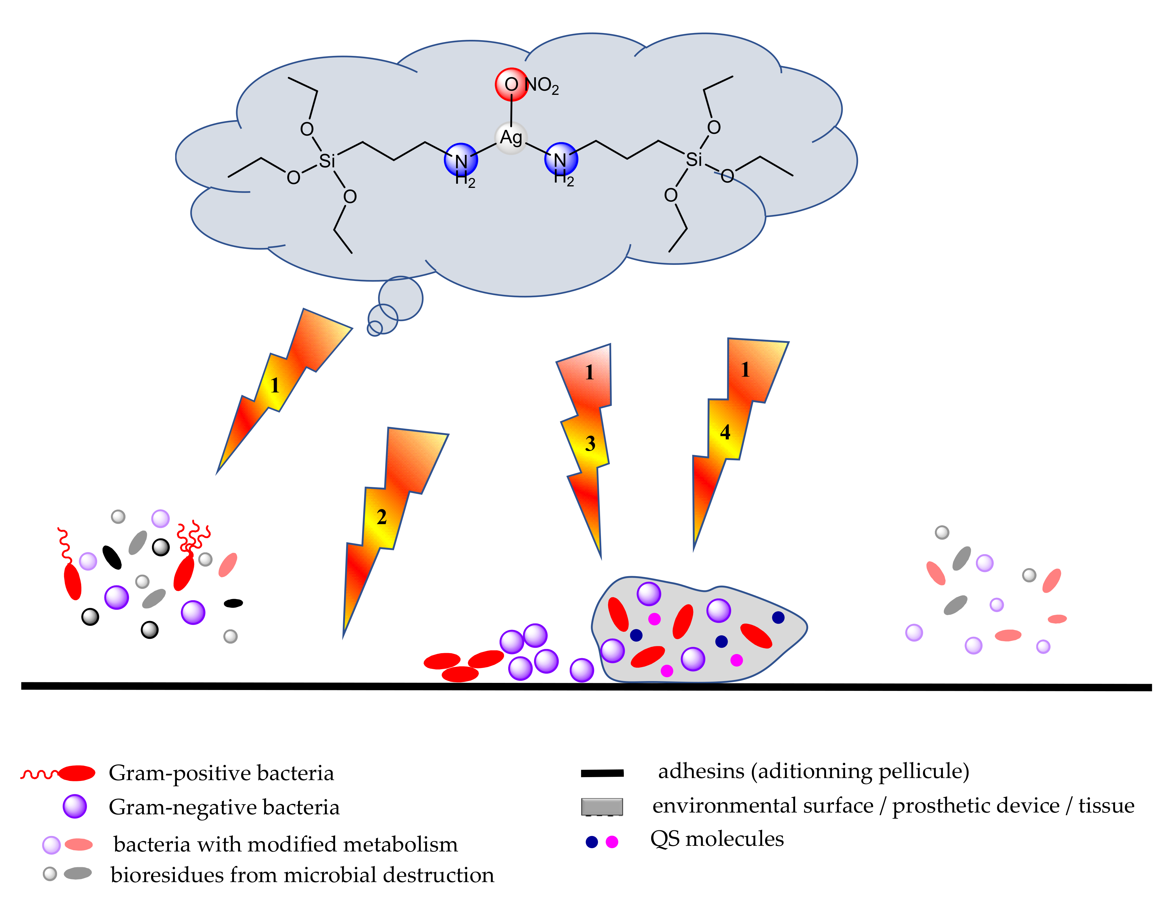 Molecules 27 00758 g002