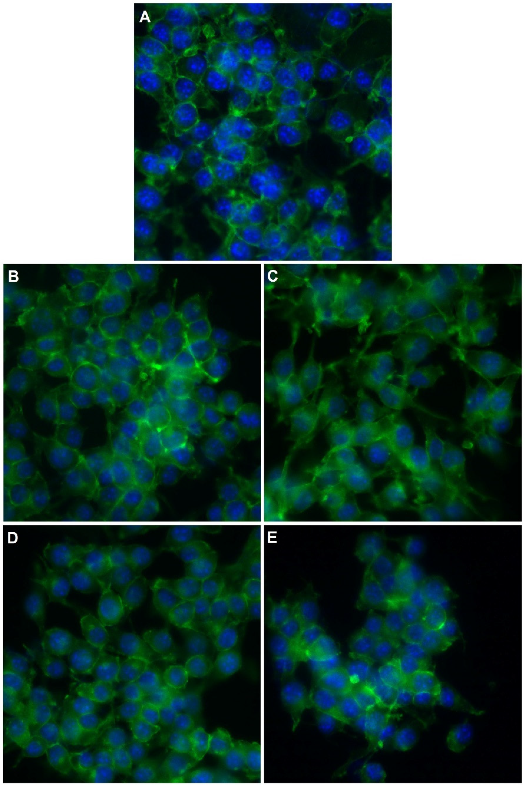 Molecules 27 00765 g010a