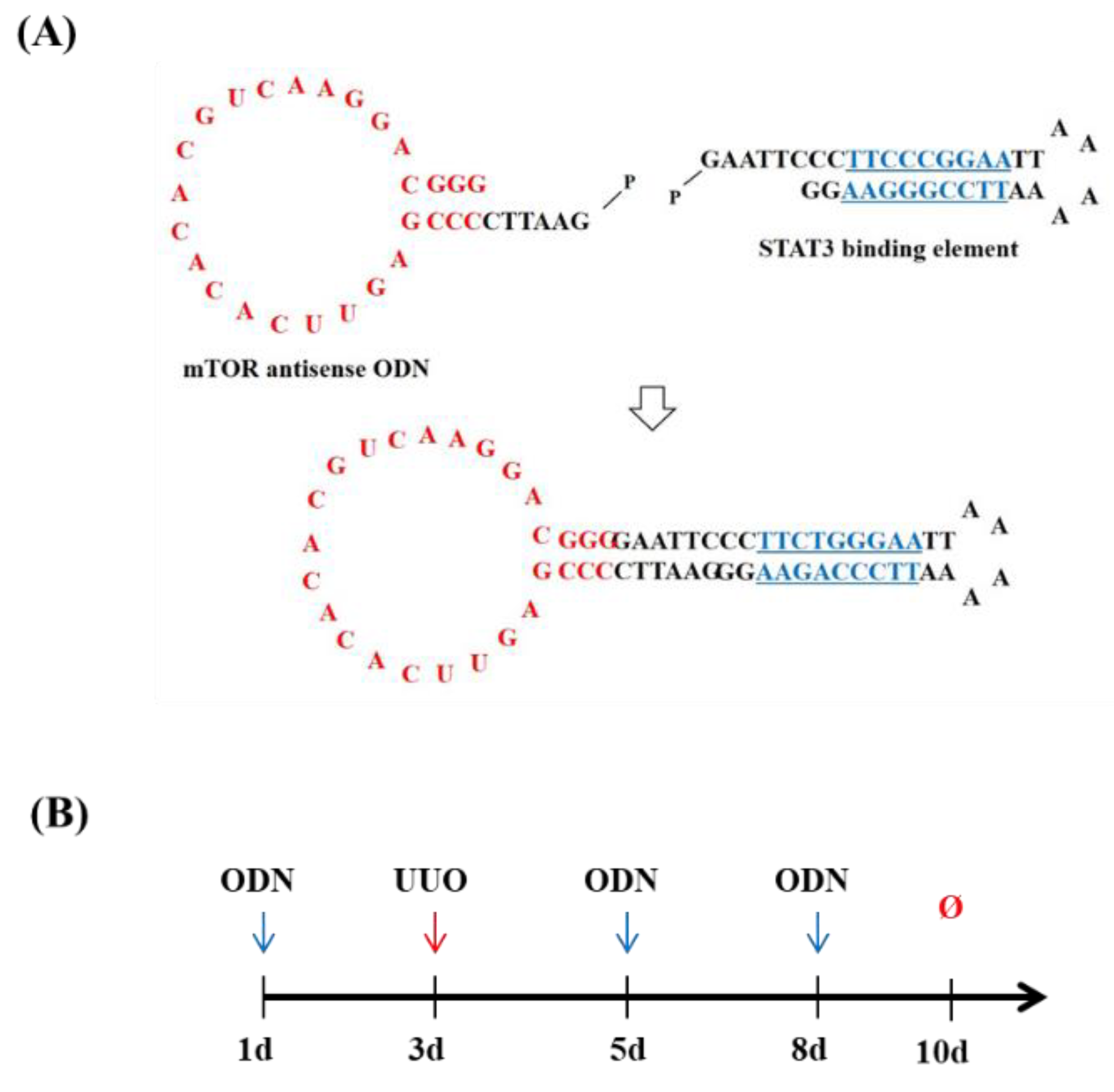 Molecules 27 00766 g001 Molecules 27 00766 g001