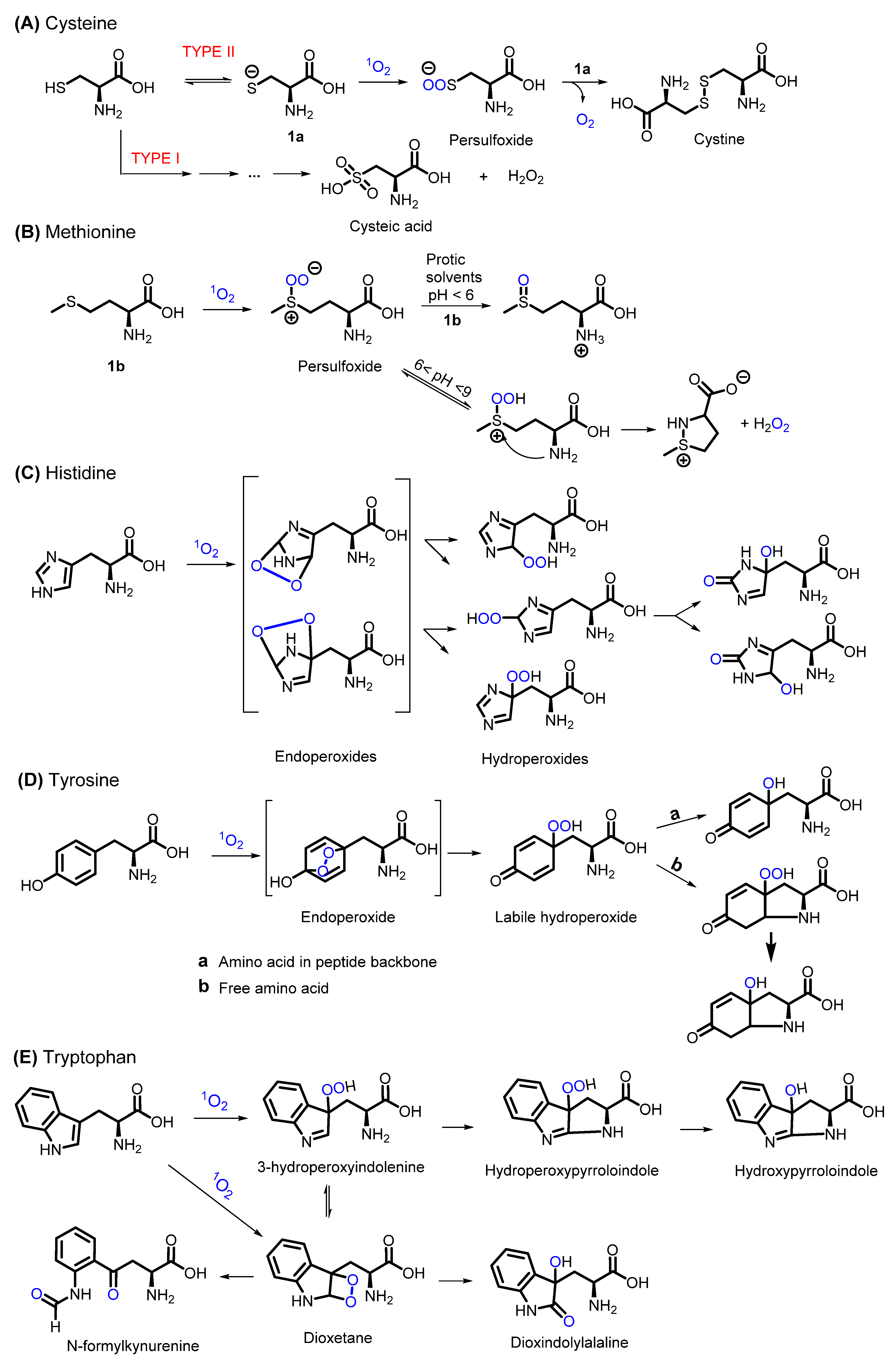 Molecules 27 00778 g003