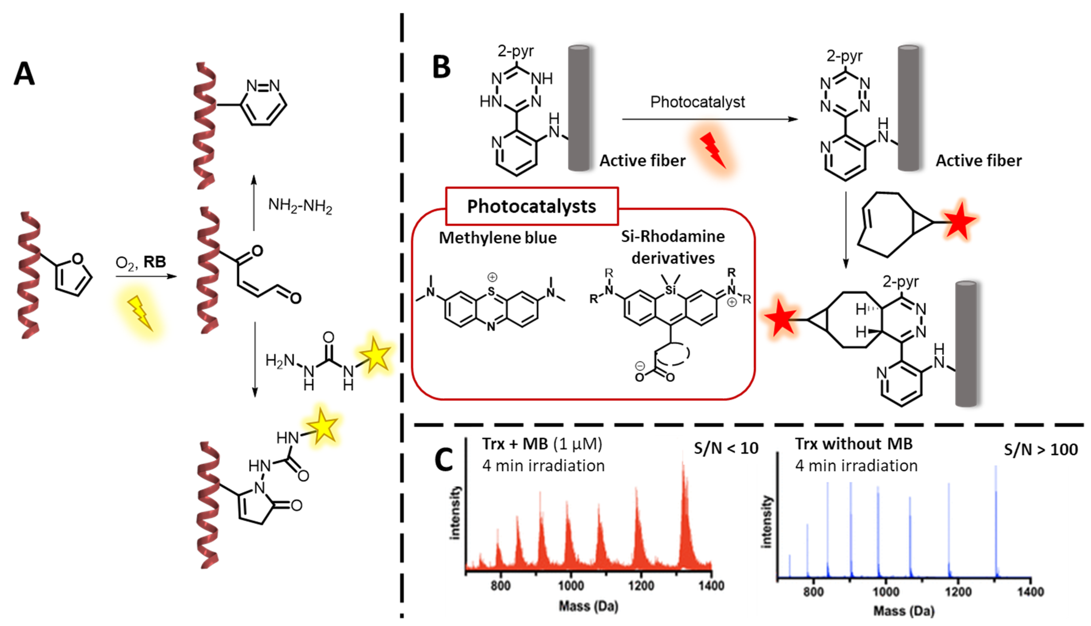 Molecules 27 00778 g008