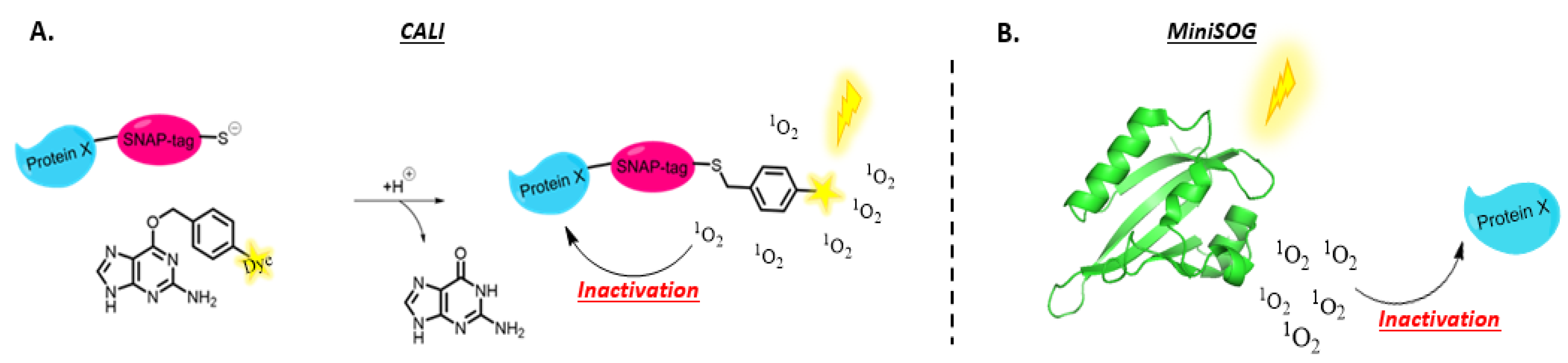 Molecules 27 00778 g011