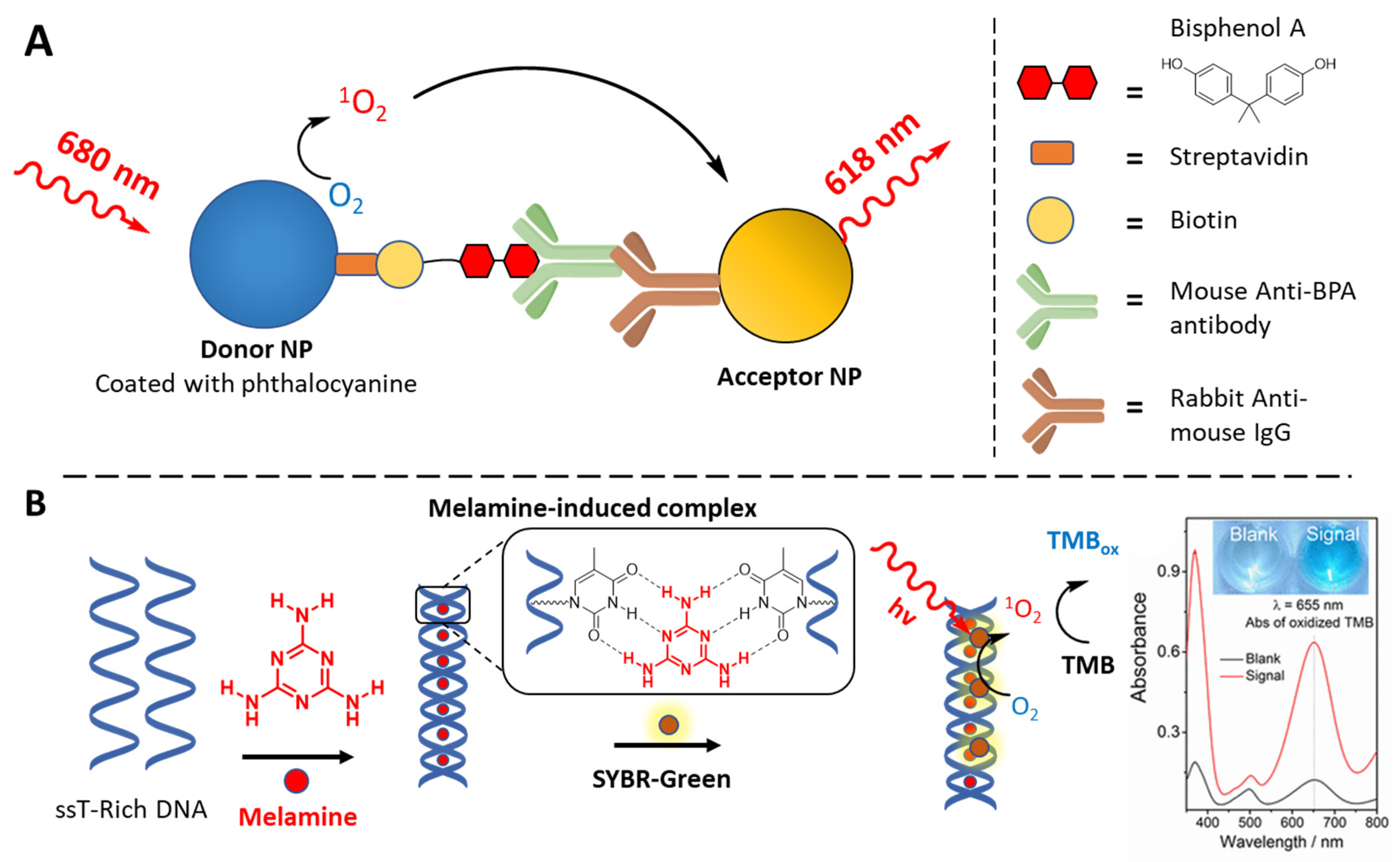 Molecules | Free Full-Text | A Photosensitized Singlet Oxygen (1O2) Toolbox  for Bio-Organic Applications: Tailoring 1O2 Generation for DNA and Protein  Labelling, Targeting and Biosensing