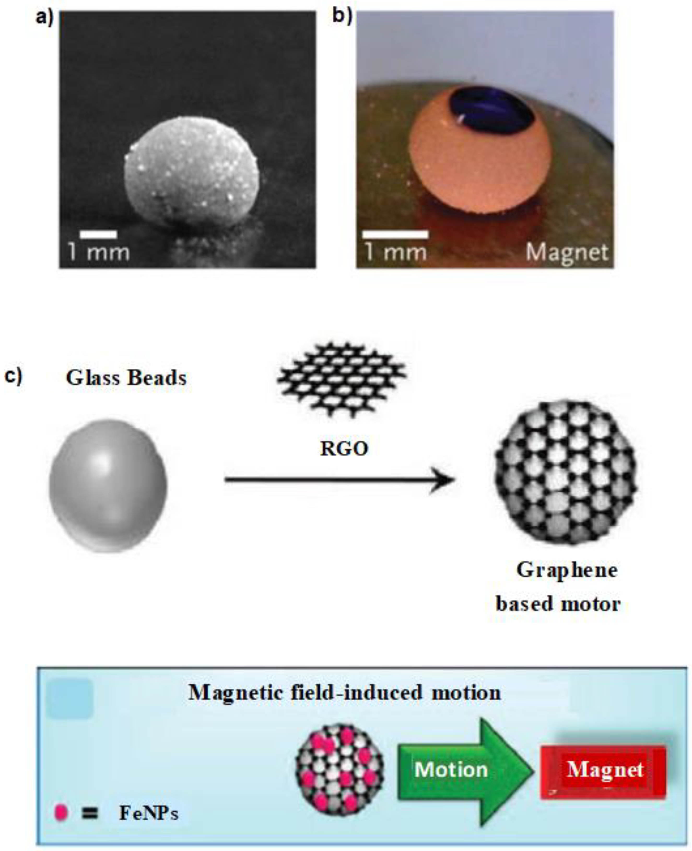 Molecules 27 00786 g002