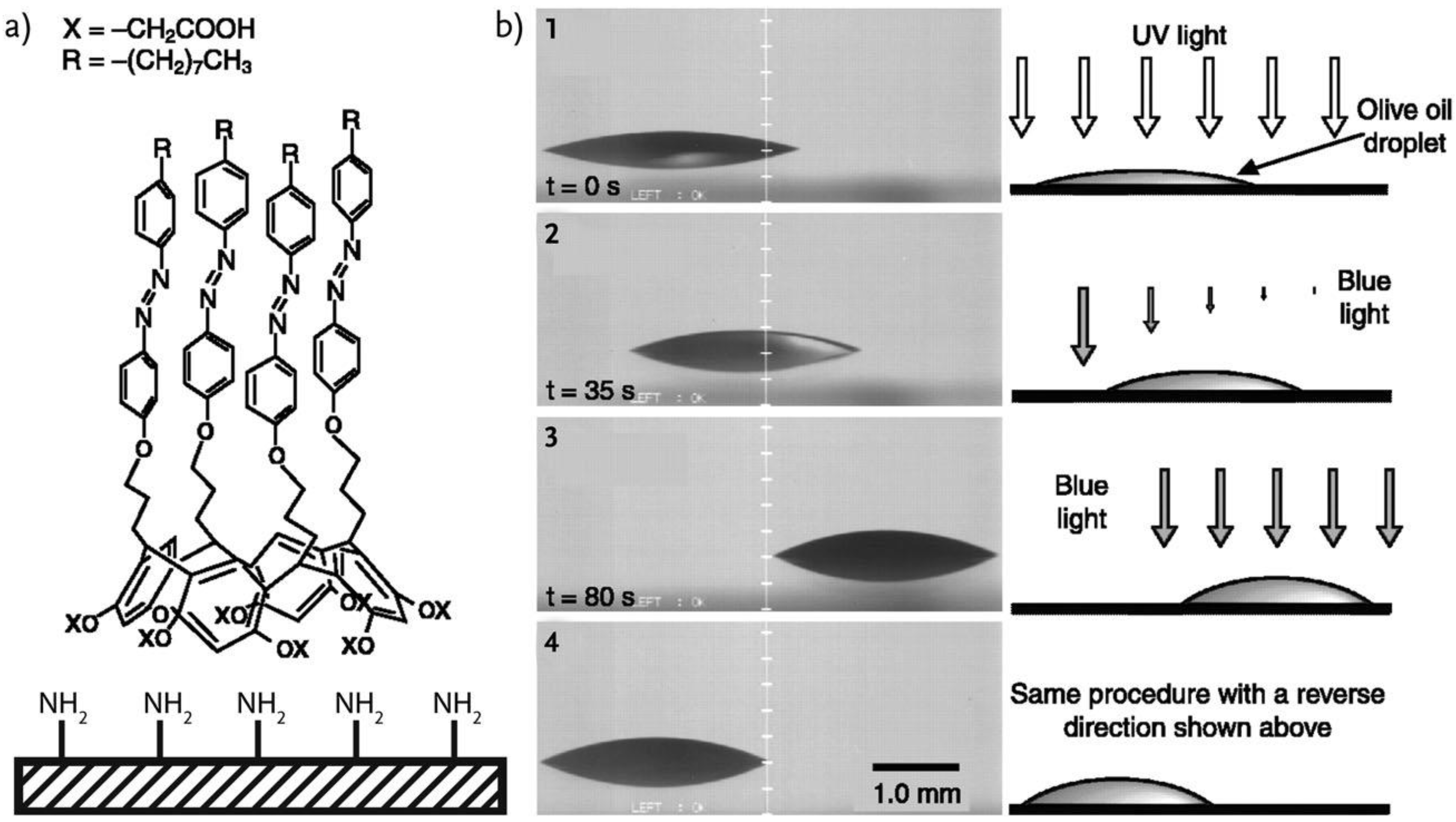 Molecules 27 00786 g004