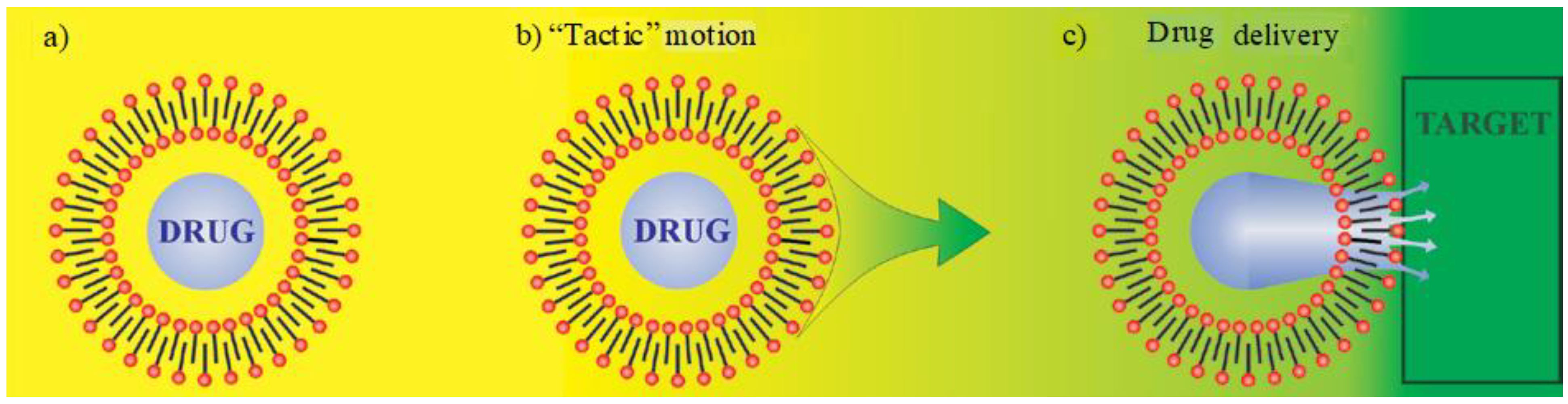 Molecules 27 00786 g005