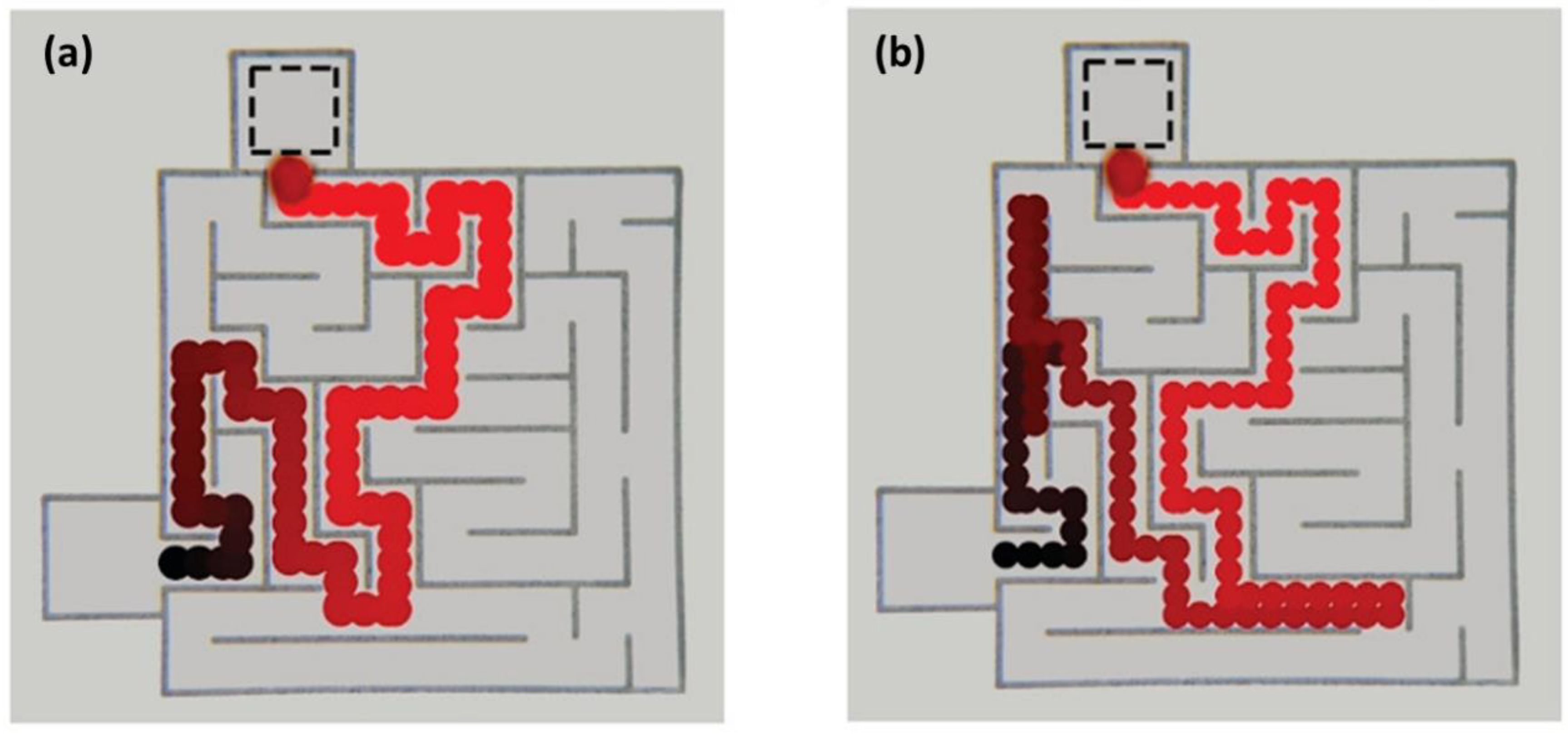 Molecules 27 00786 g006
