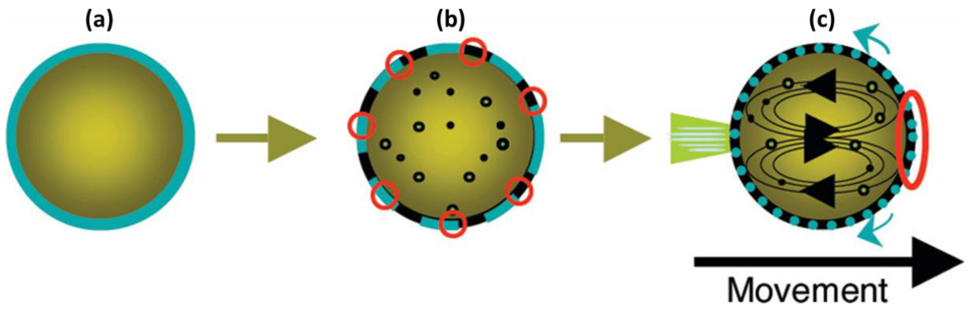 Molecules 27 00786 g008