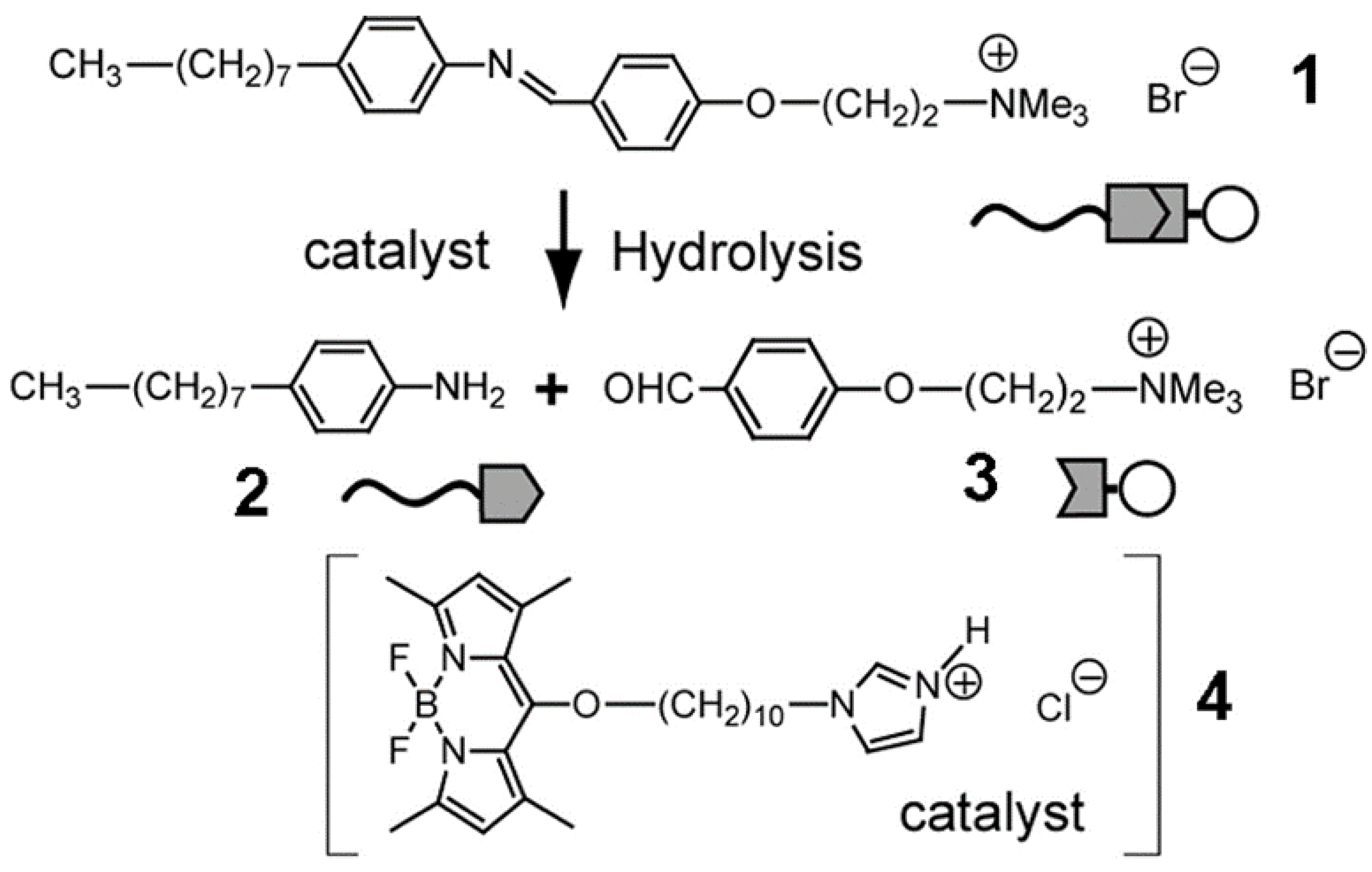 Molecules 27 00786 g009