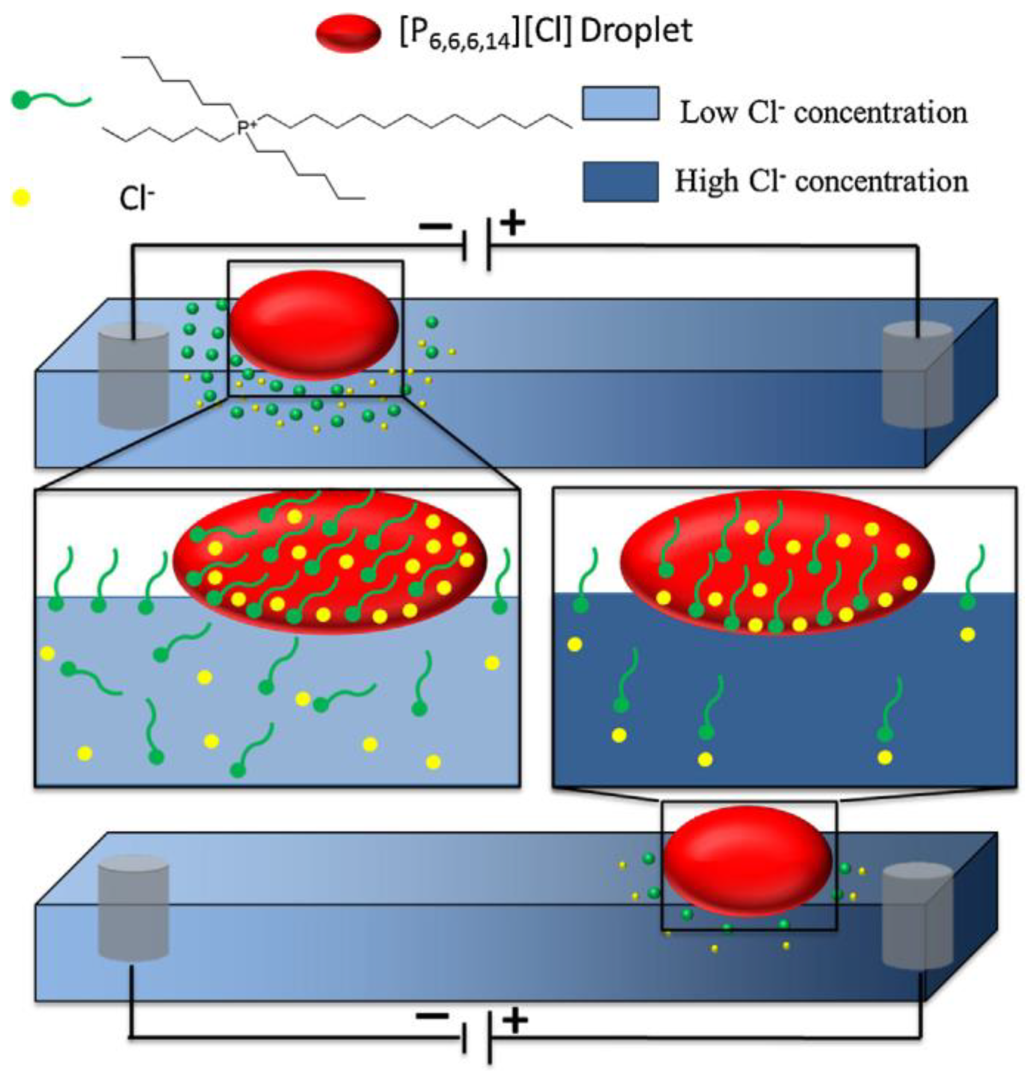 Molecules | Free Full-Text | Mimic Nature Using Chemotaxis of Ionic Liquid  Microdroplets for Drug Delivery Purposes | HTML
