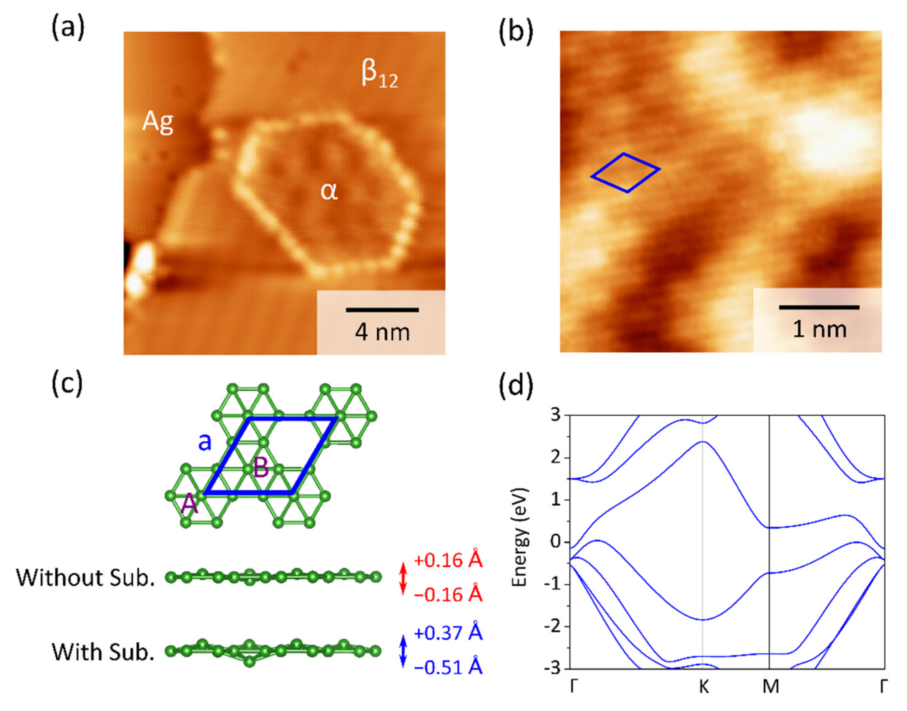 Molecules 27 00834 g001