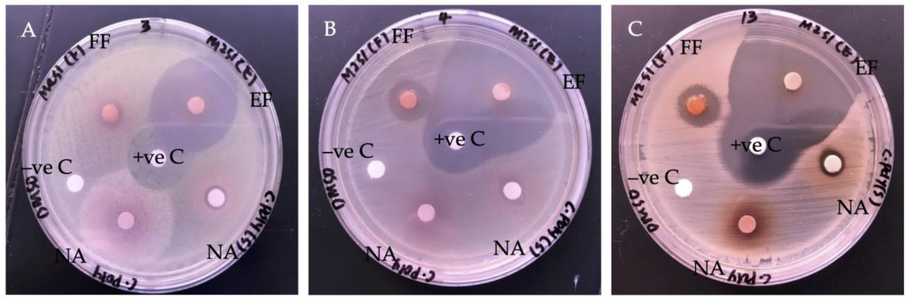 Molecules 27 00838 g002