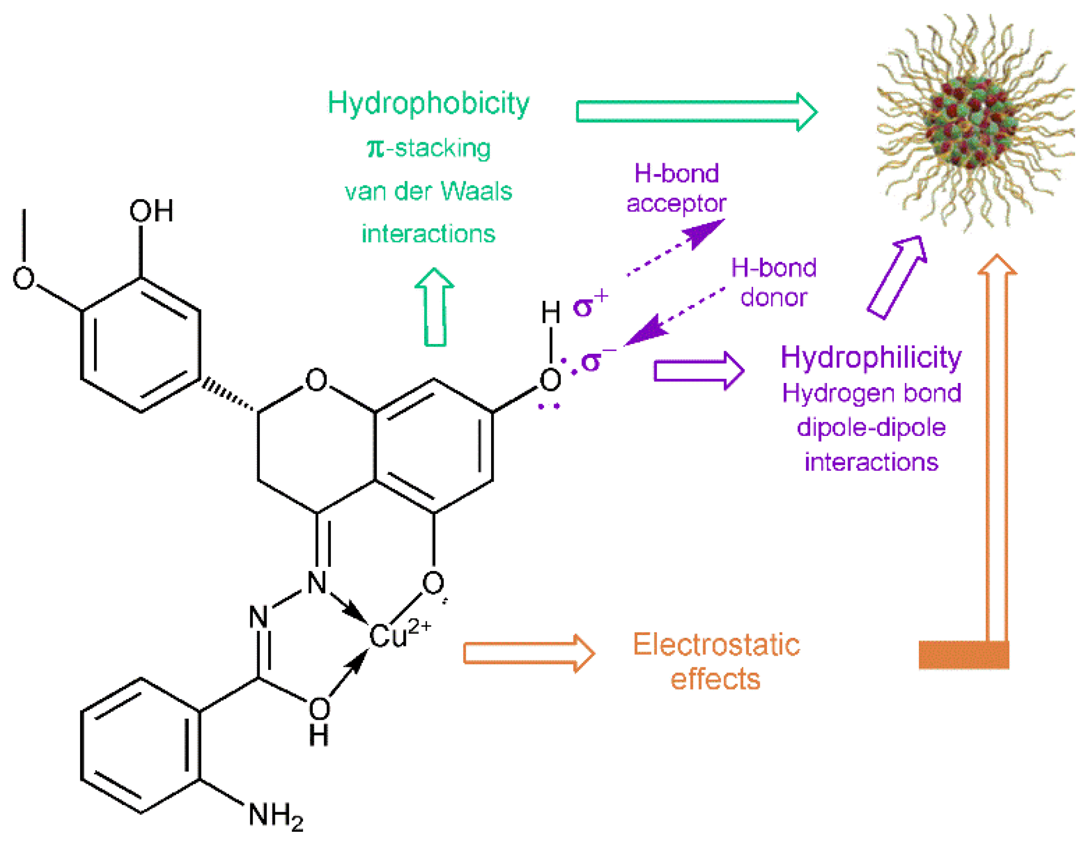 Molecules 27 00845 g007