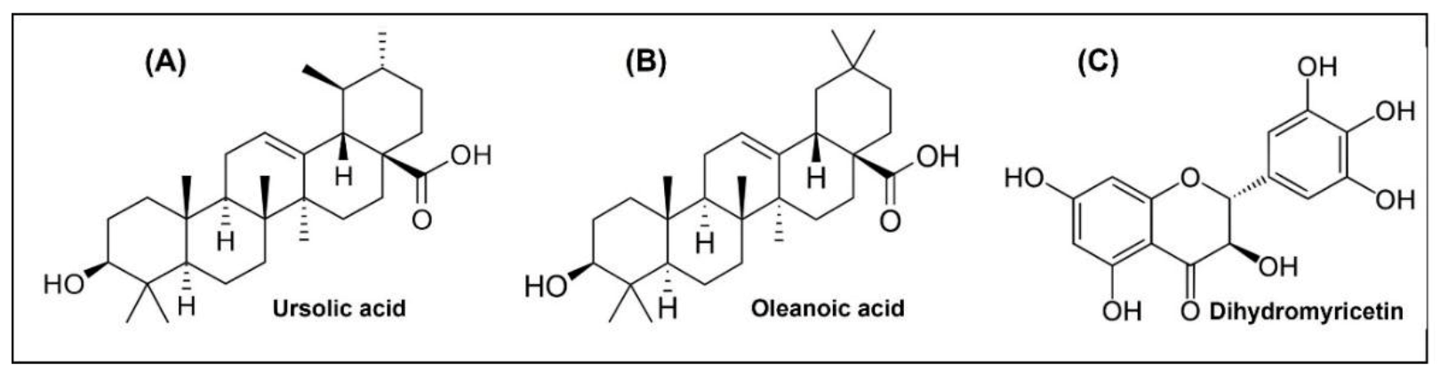 Molecules 27 00847 g001