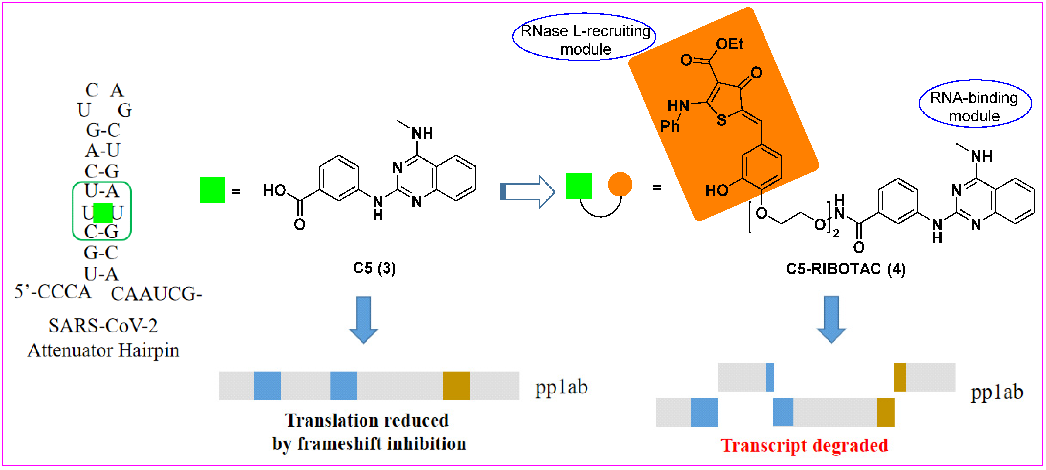 Molecules 27 00850 g003