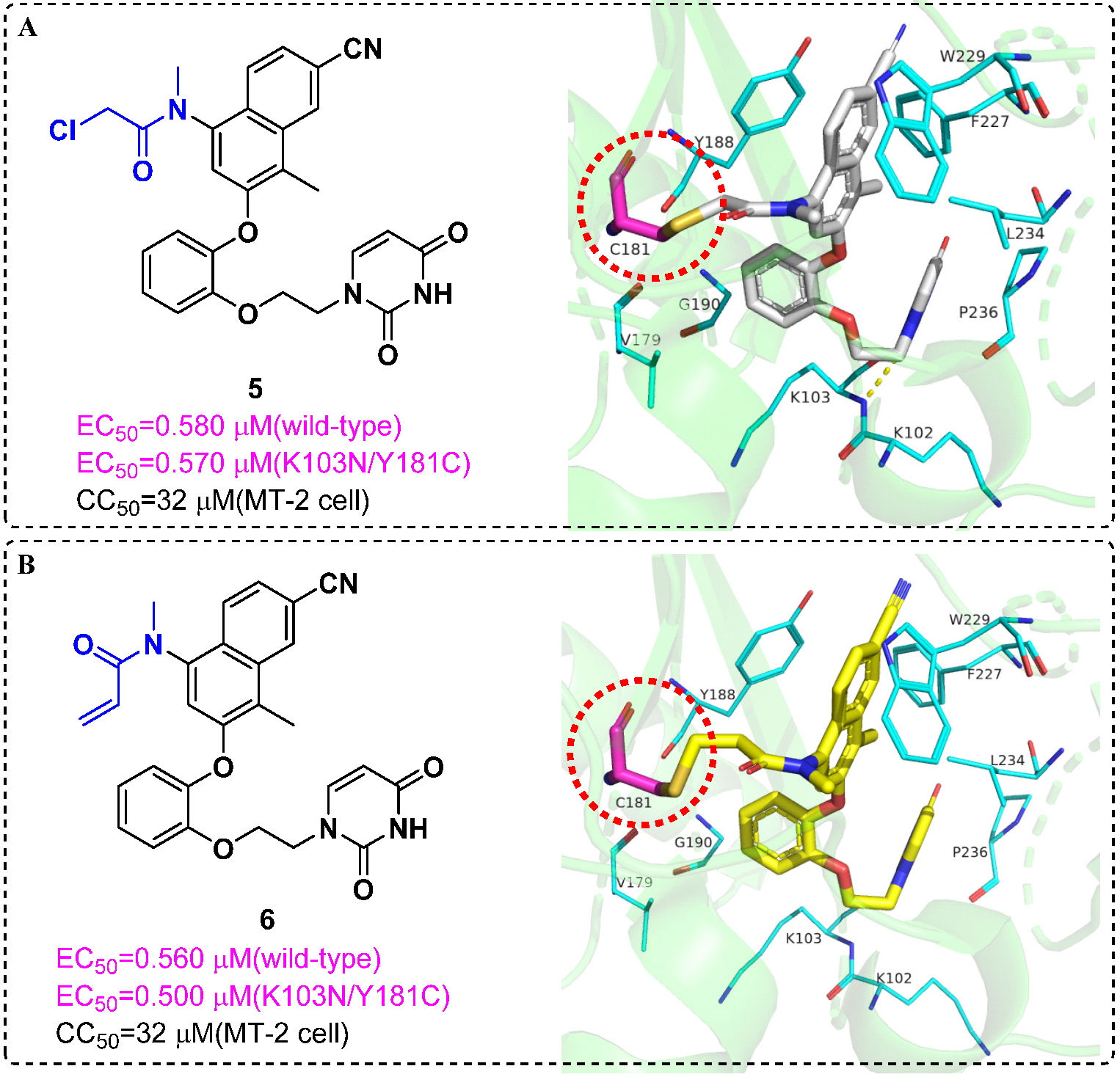 Molecules 27 00850 g004
