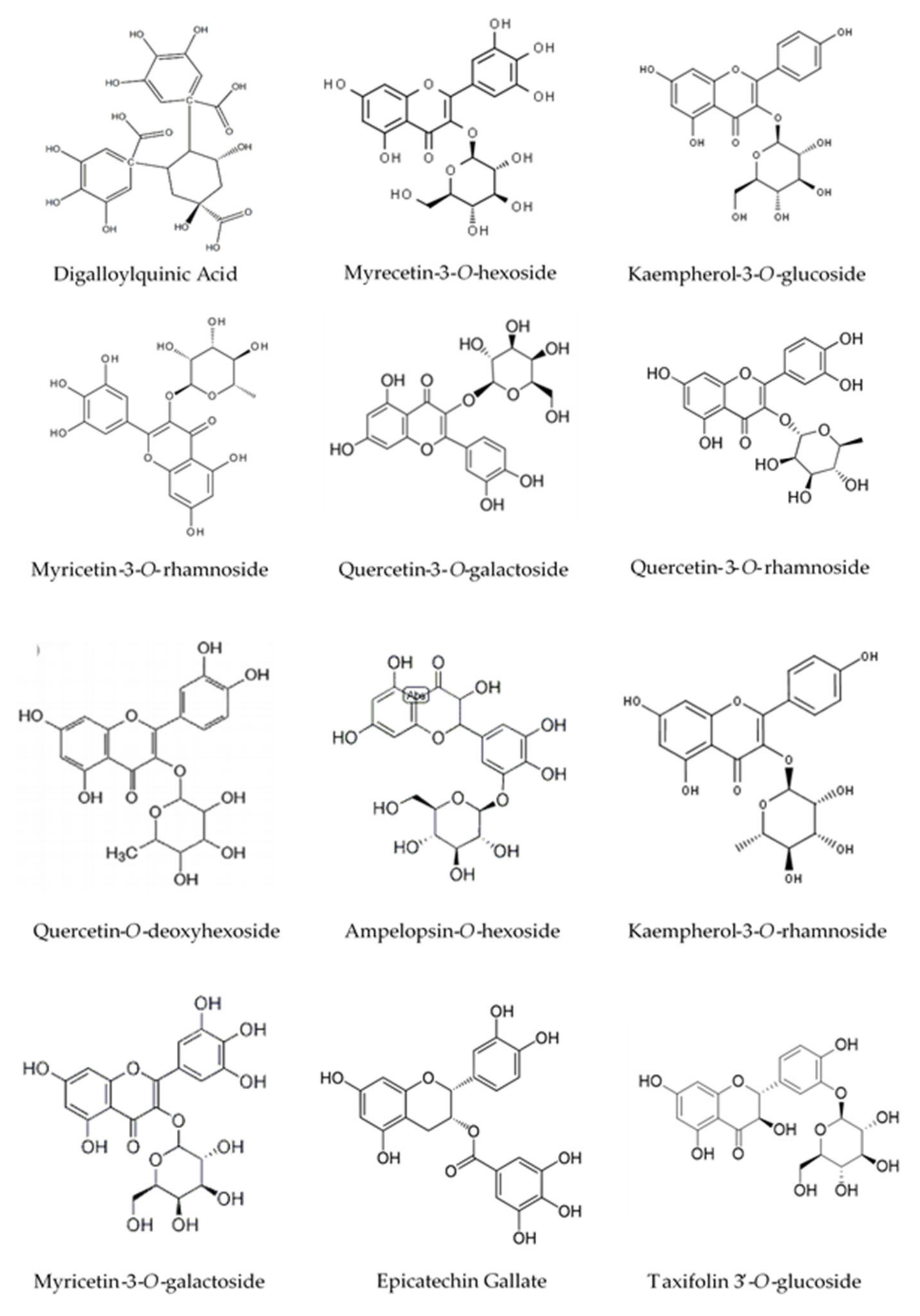 Molecules 27 00855 g002