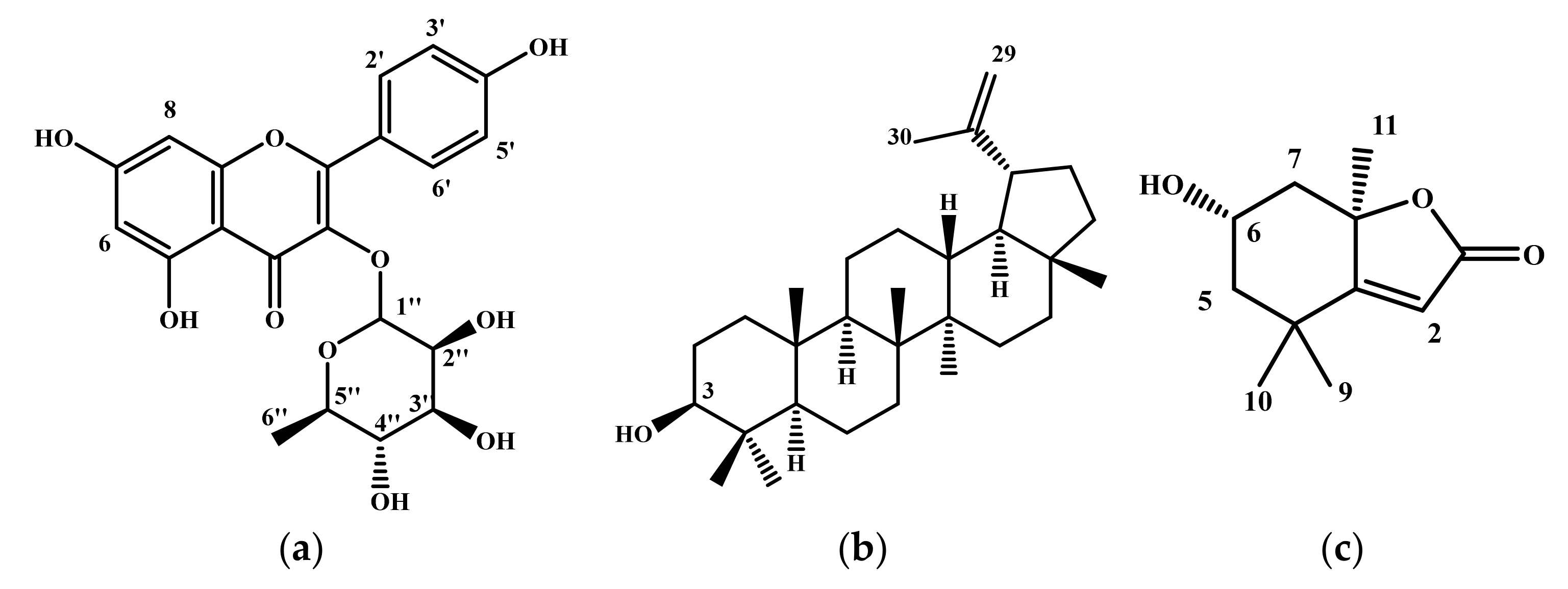 Molecules 27 00855 g004