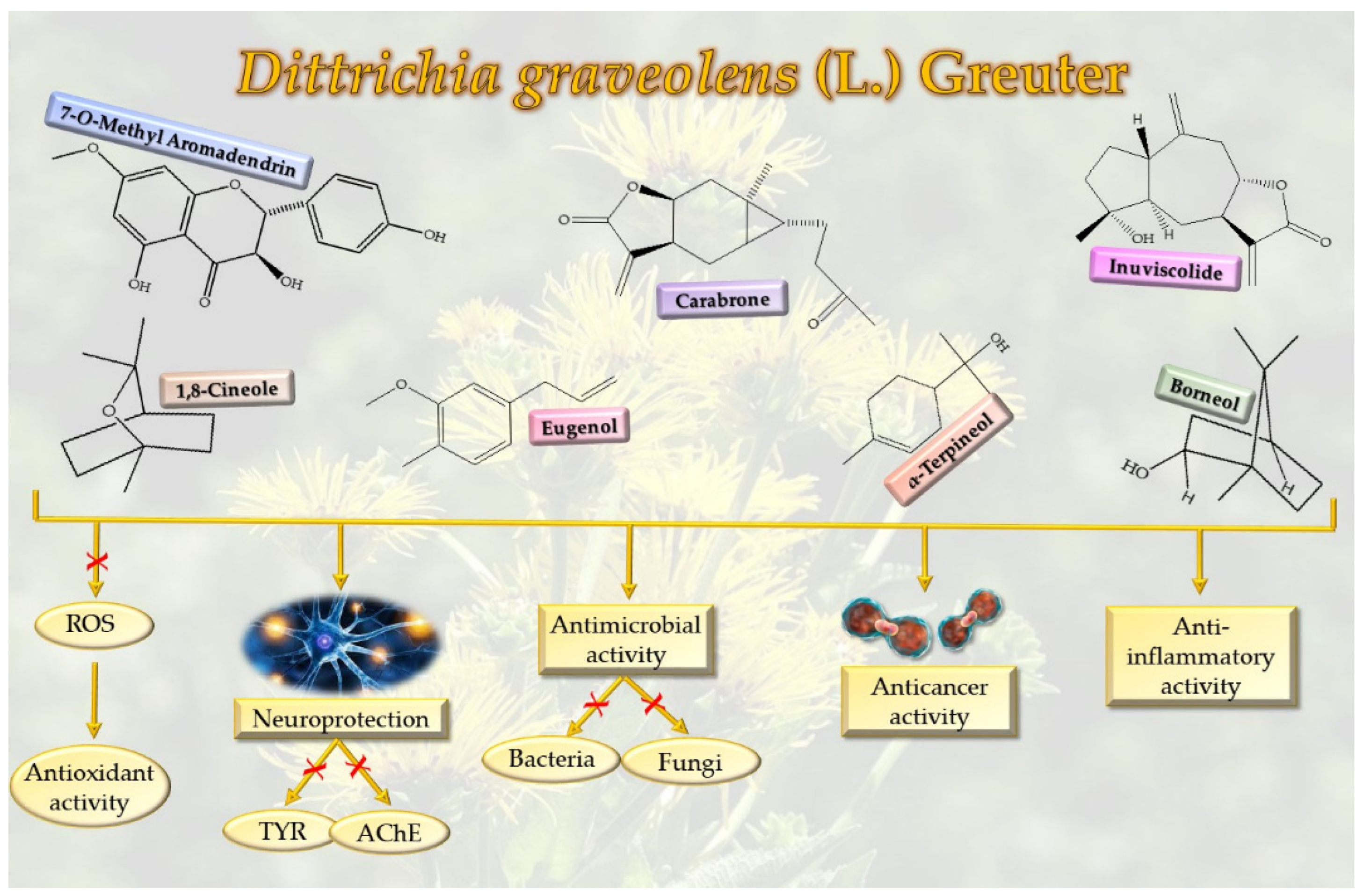 Molecules 27 00895 g003