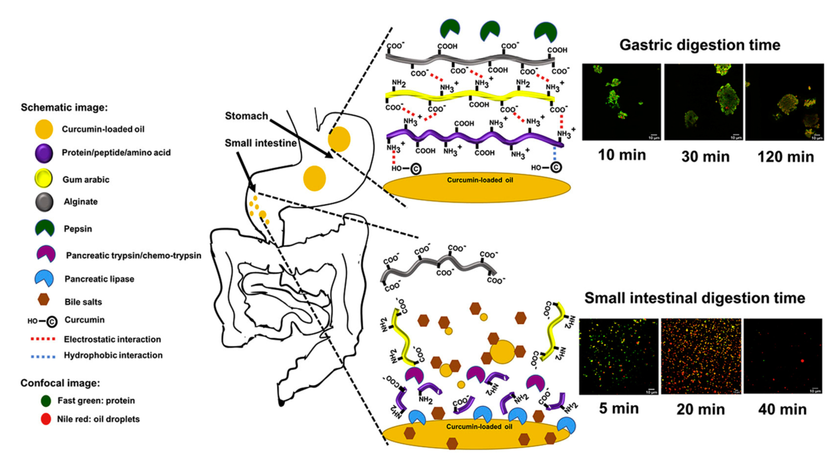 Molecules 27 00921 g007