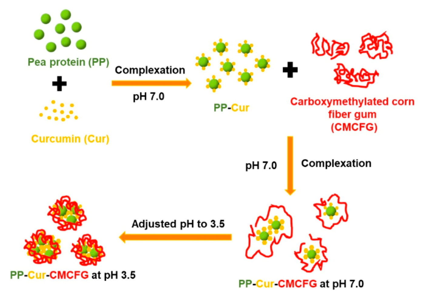 Molecules 27 00921 g008