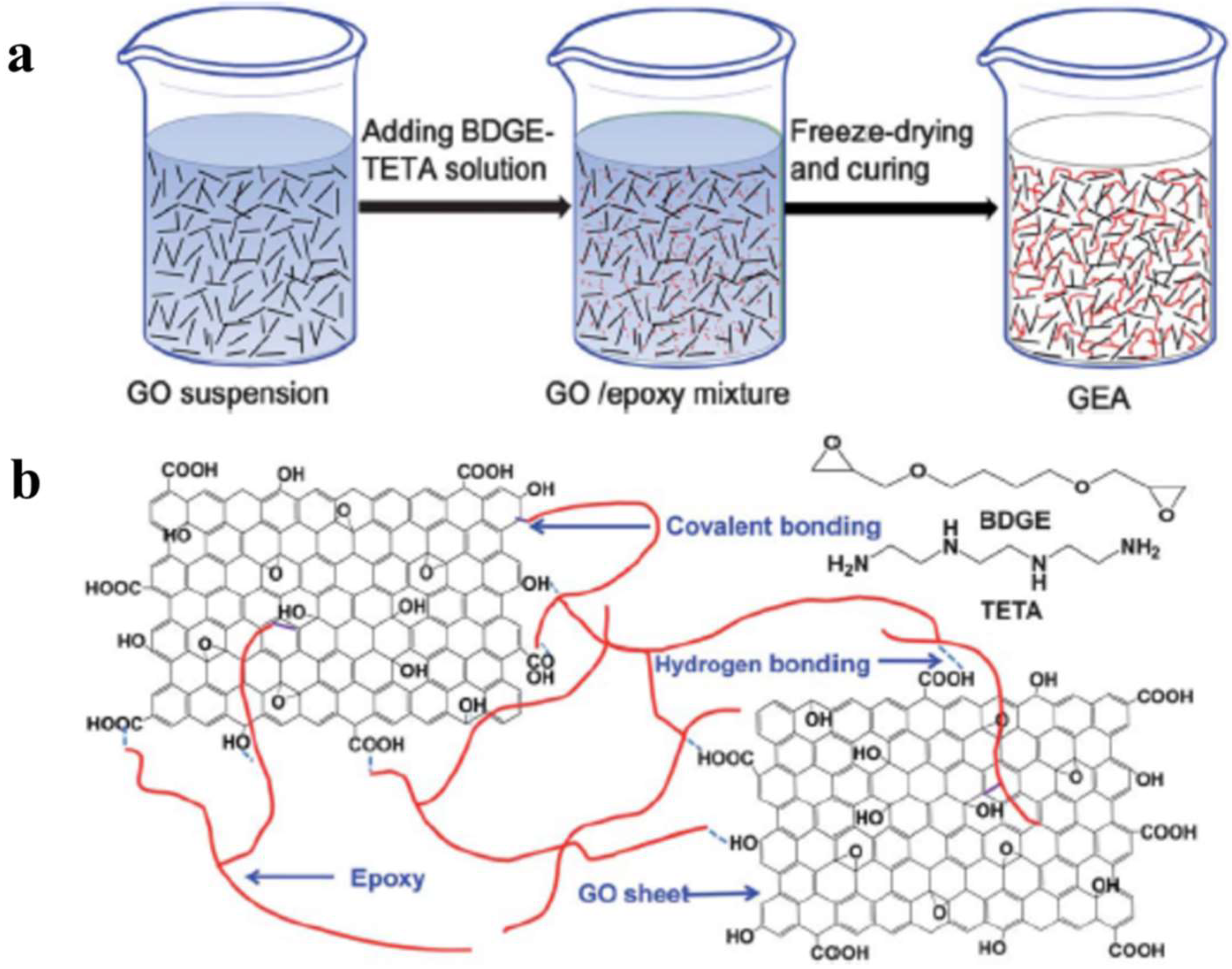 Molecules 27 00924 g007