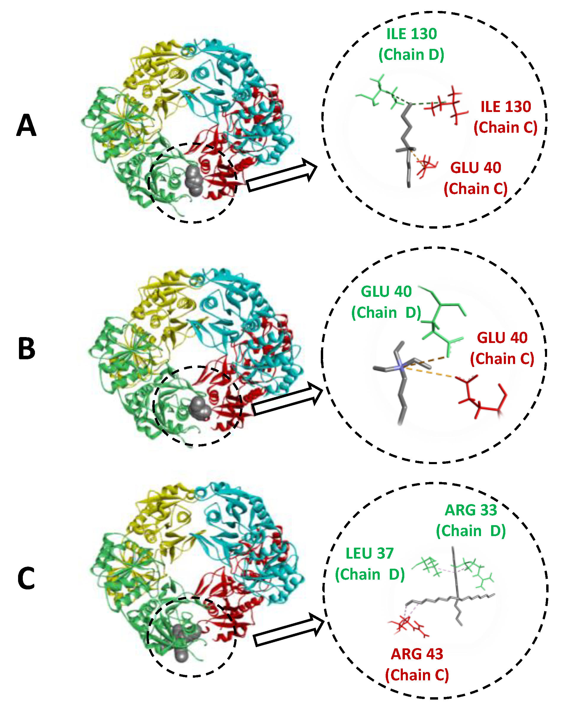 Molecules 27 00929 g007 Molecules 27 00929 g007