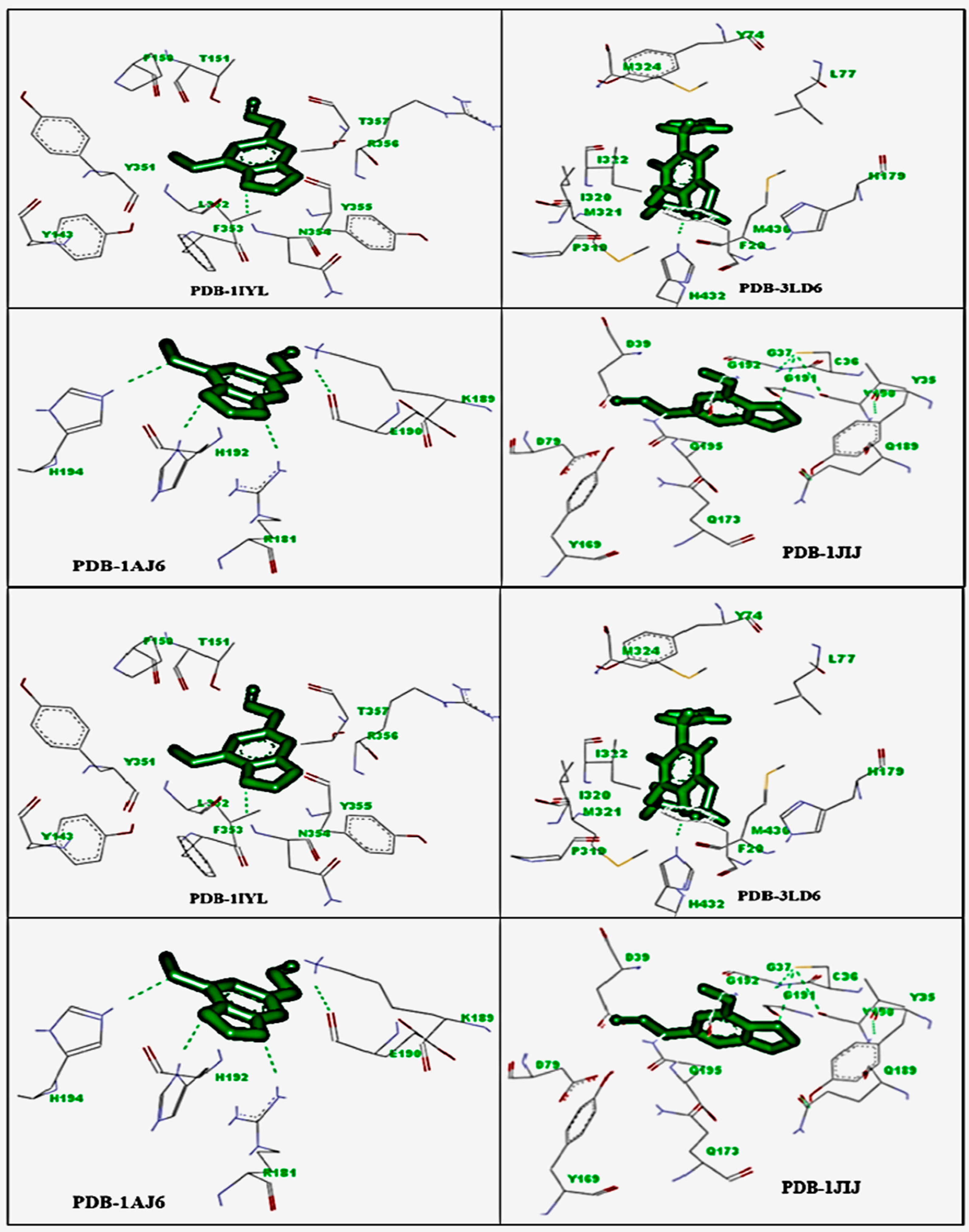 Molecules 27 00934 g004