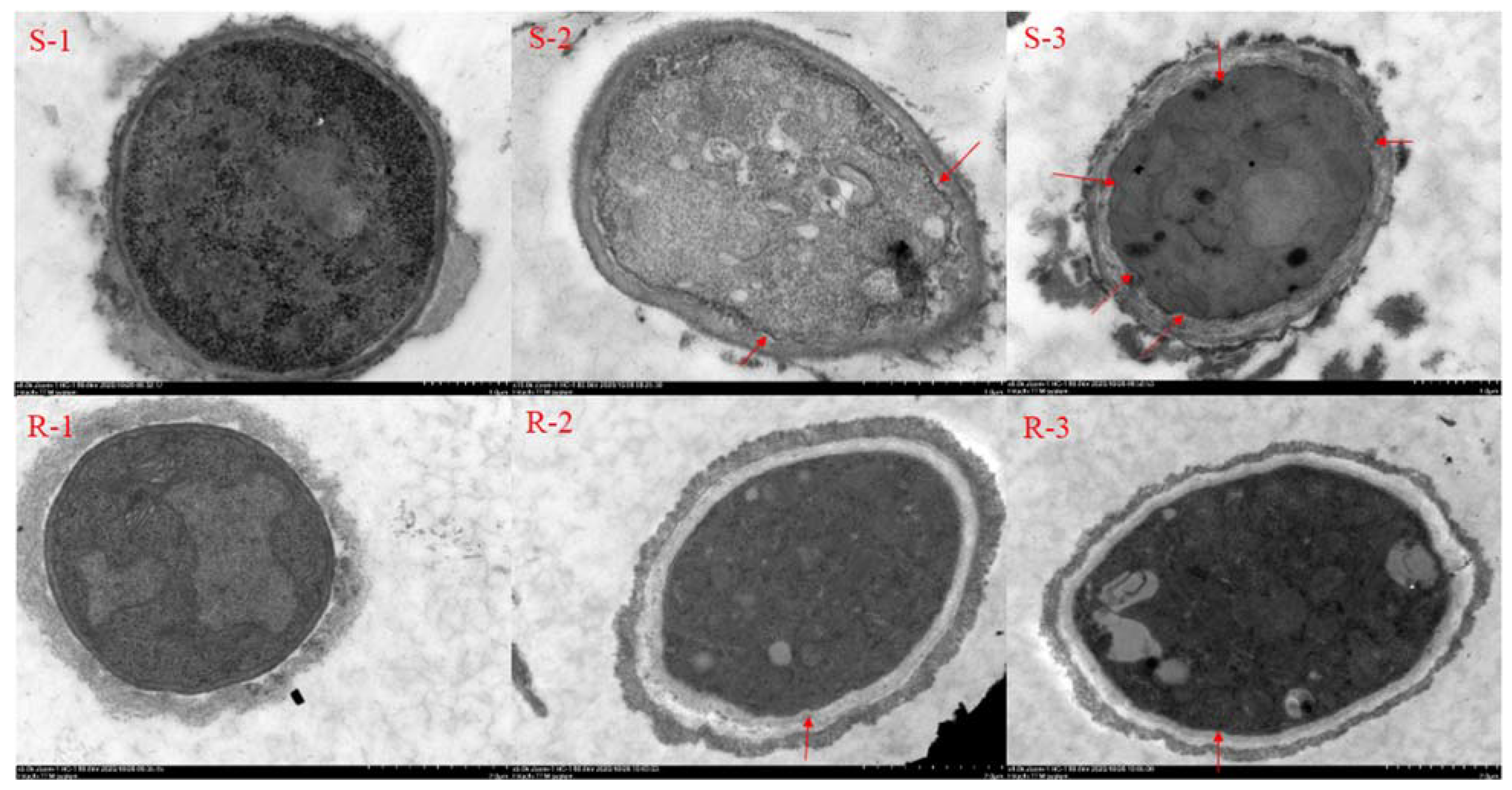 Molecules 27 00936 g002