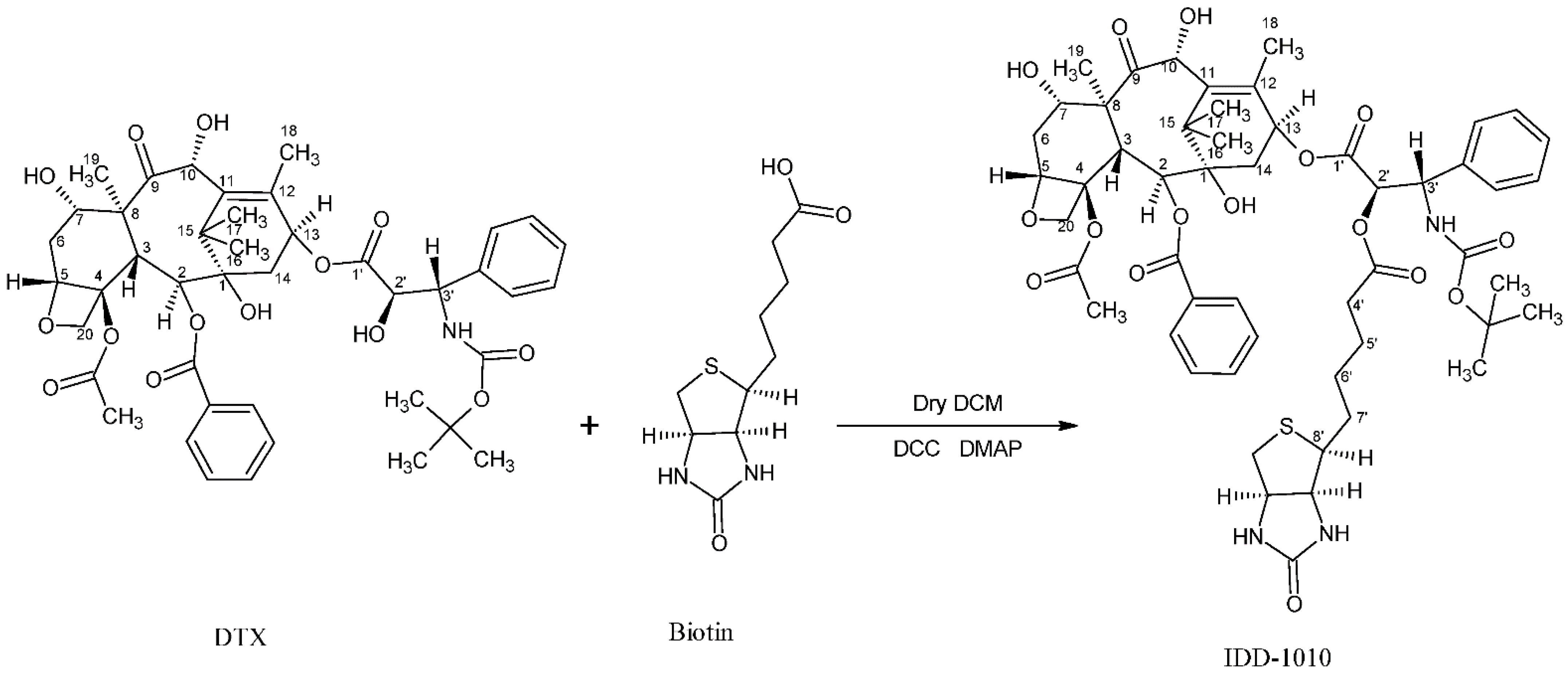 Molecules 27 00961 g008