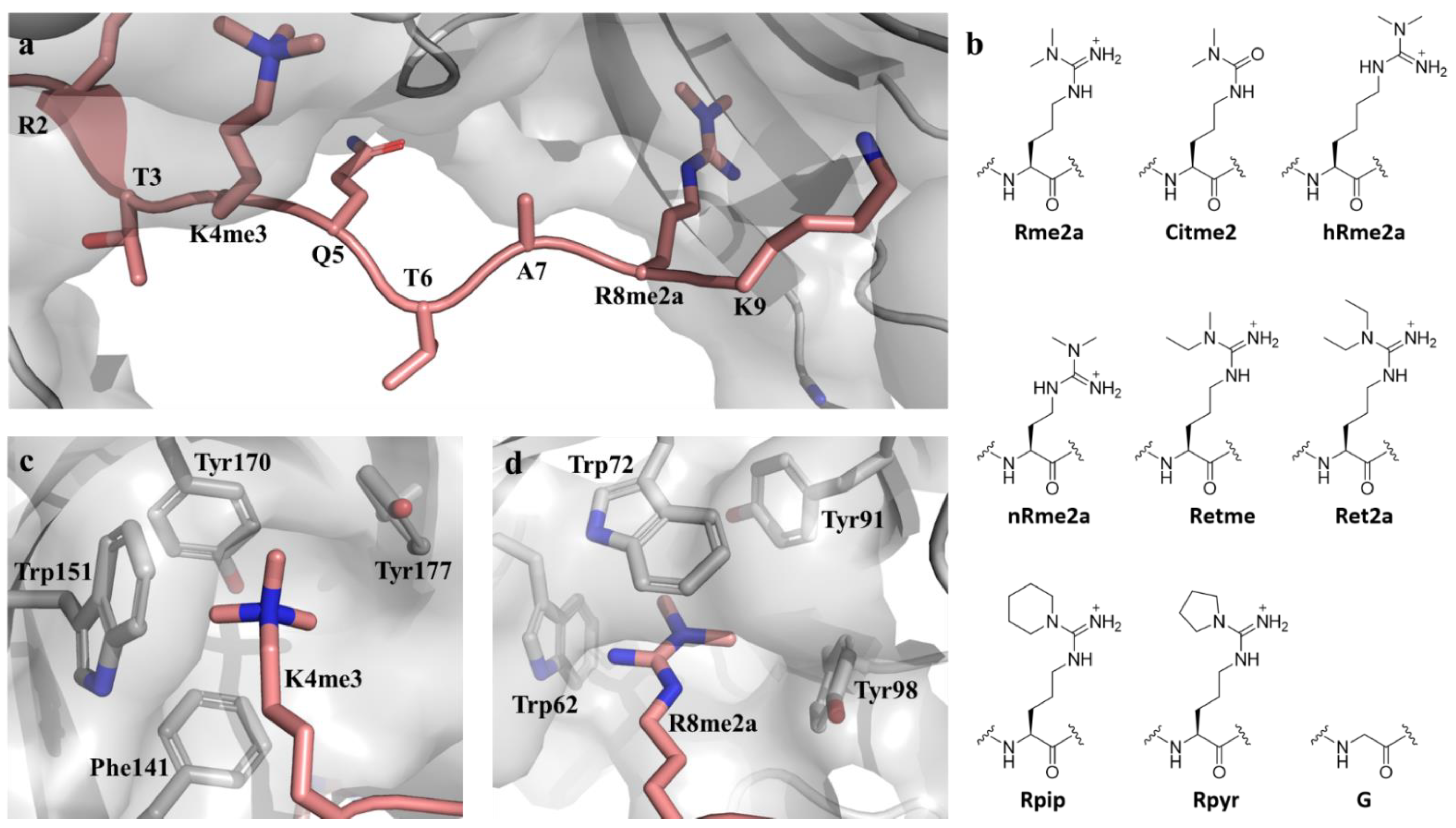 Molecules 27 00983 g001