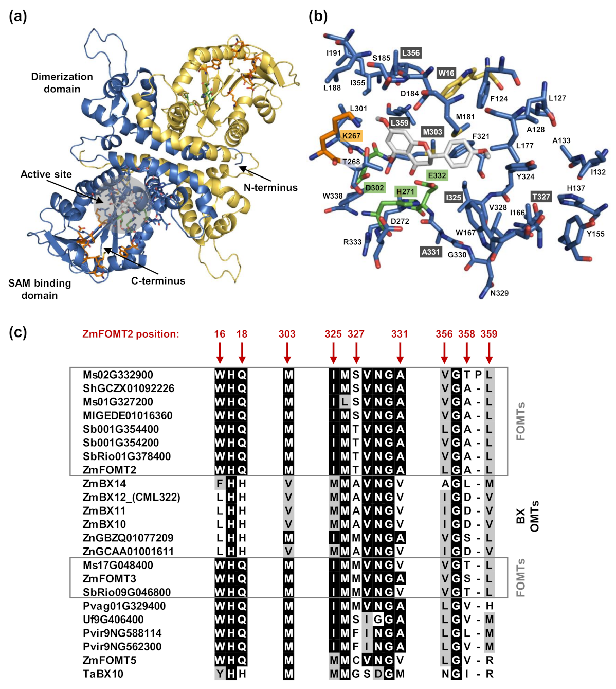 Molecules 27 01007 g003
