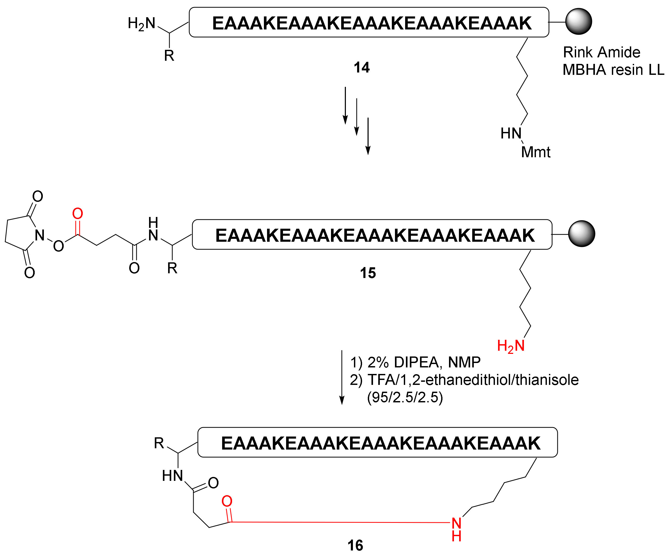 Molecules 27 01012 sch006 Molecules 27 01012 sch006