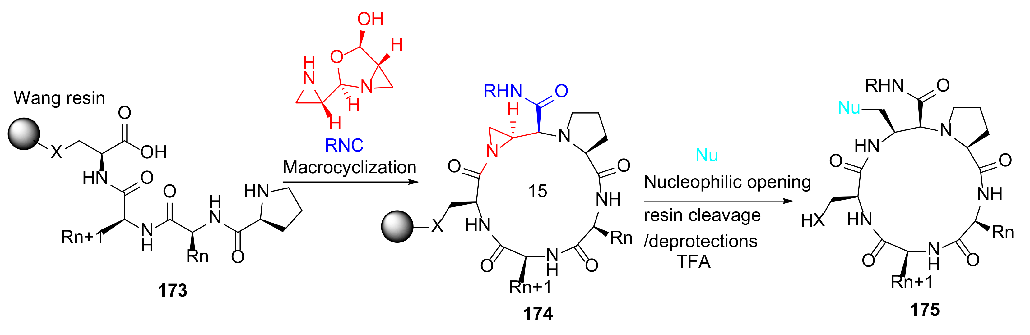 Molecules 27 01012 sch052 Molecules 27 01012 sch052