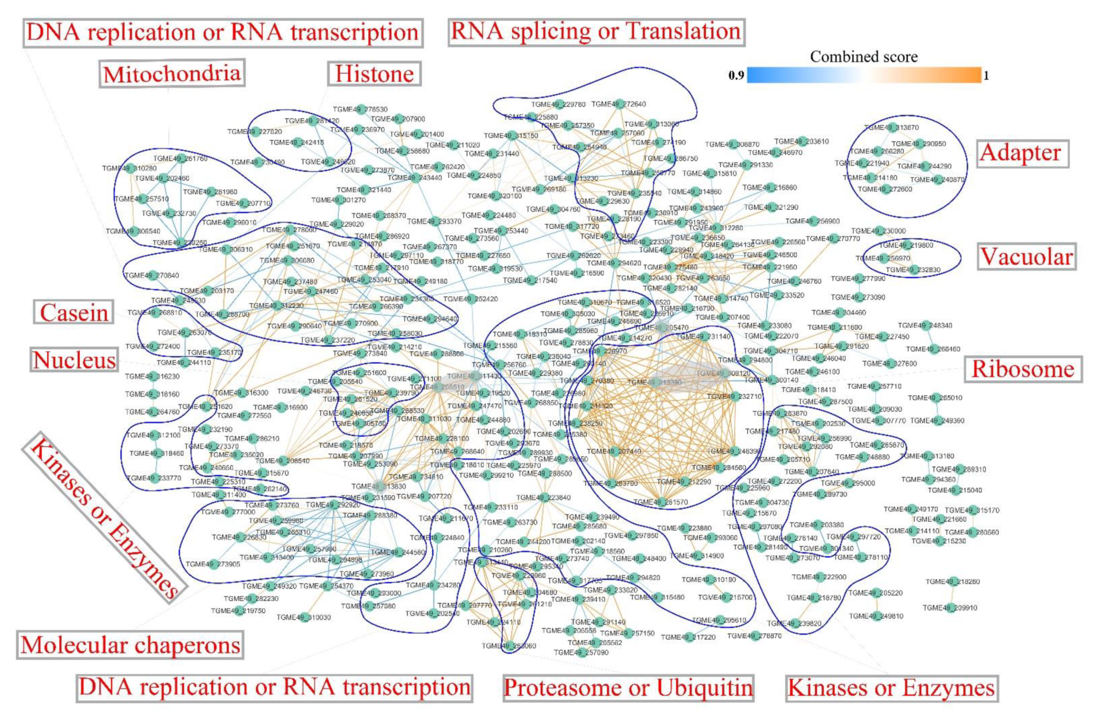 Molecules 27 01022 g009