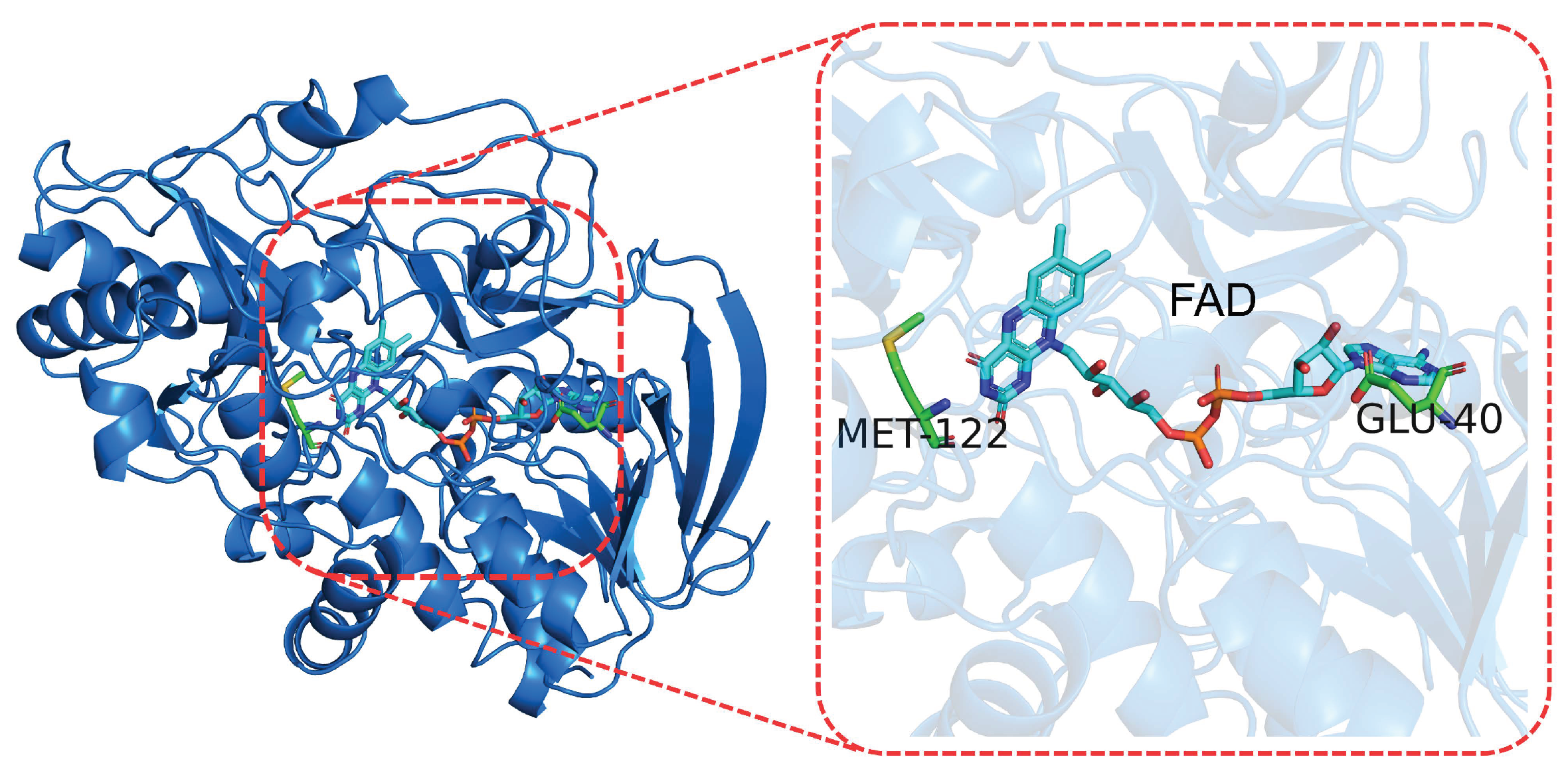Molecules 27 01077 g004