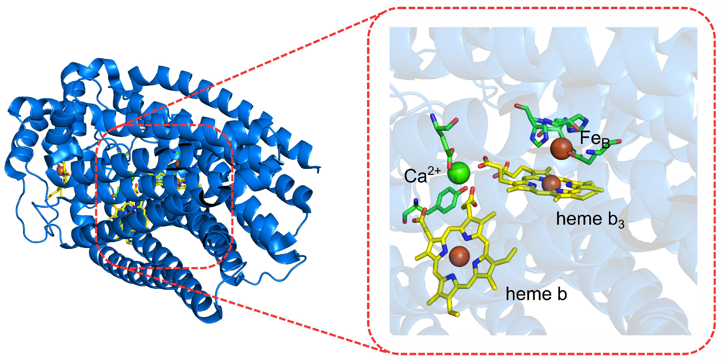 Molecules 27 01077 g007
