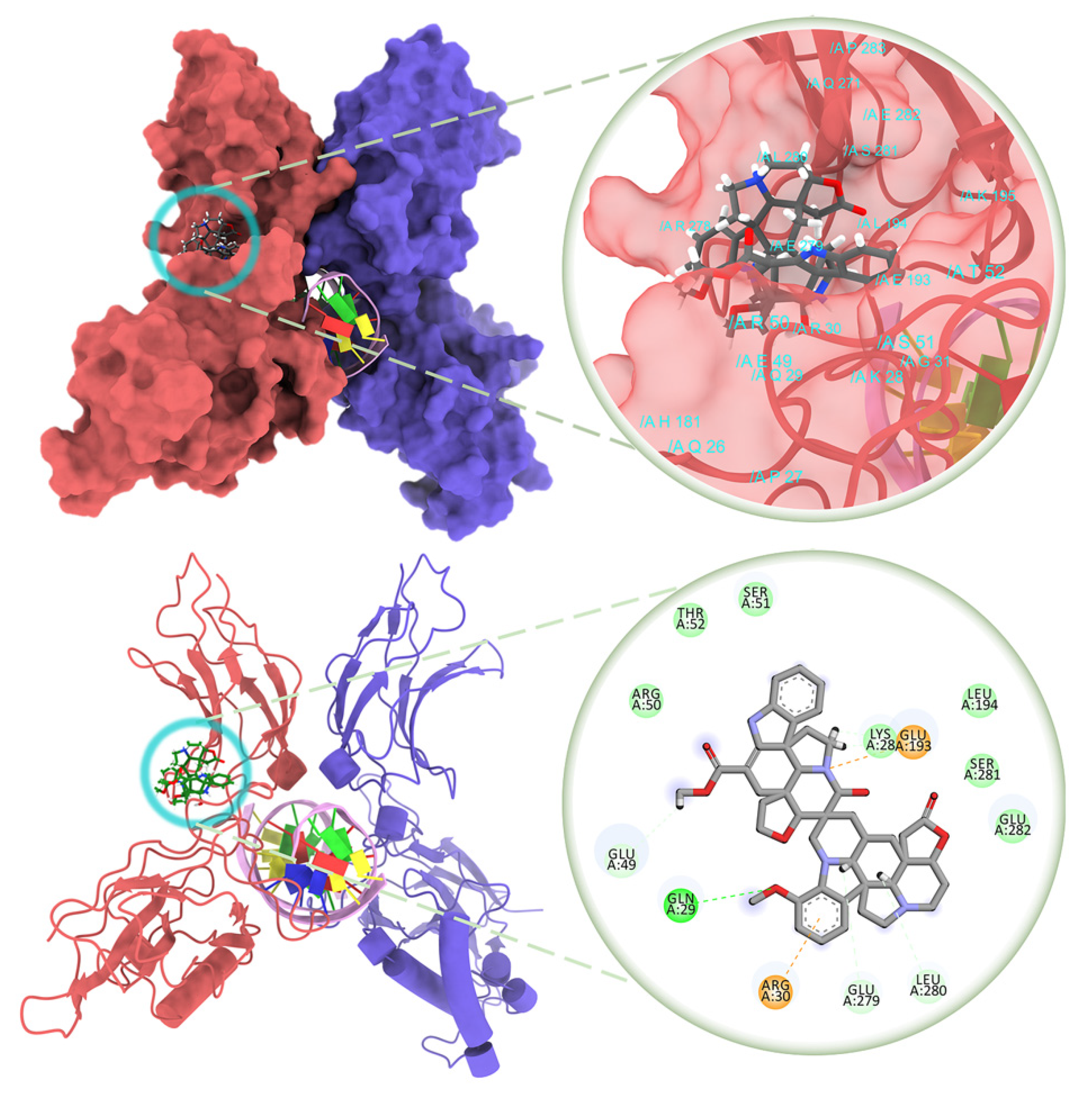 Molecules 27 01078 g004 Molecules 27 01078 g004