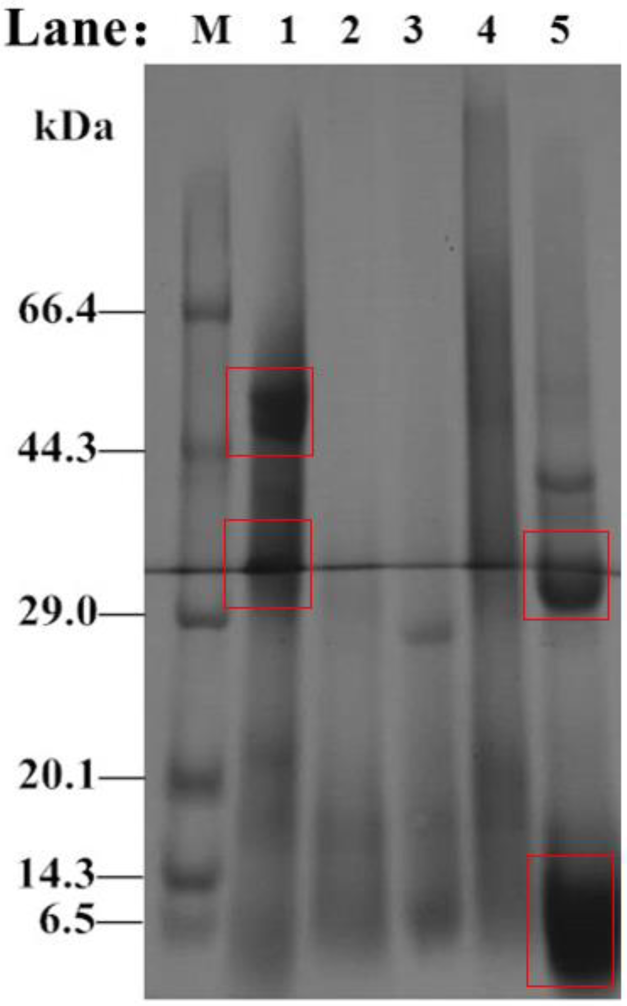 Molecules 27 01079 g007