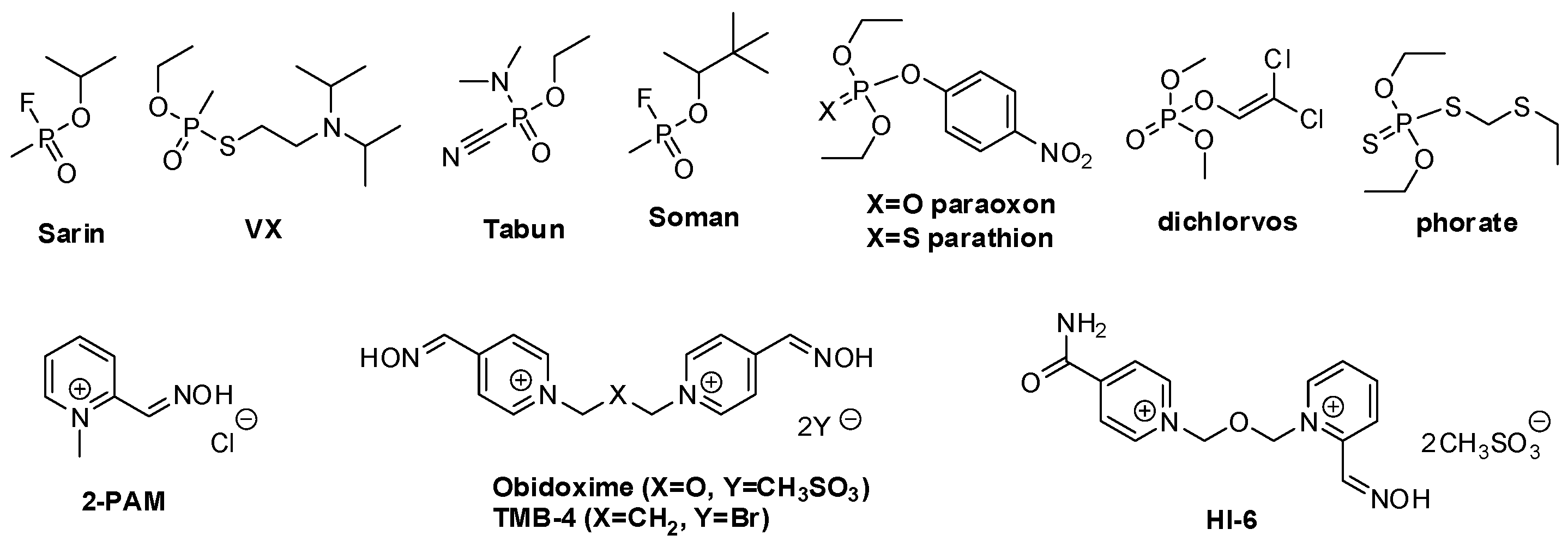 Molecules 27 01096 g001