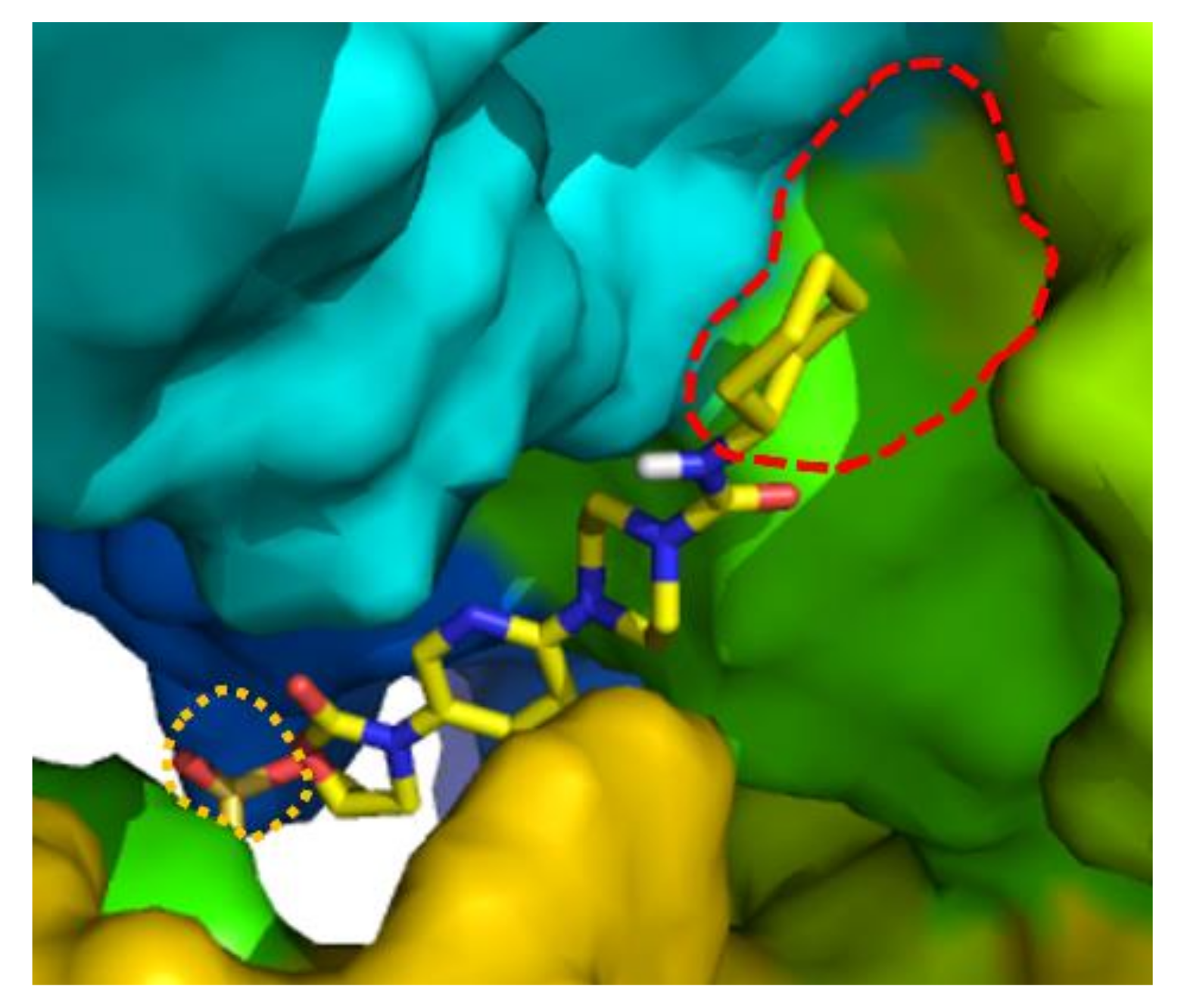 Molecules 27 01103 g004