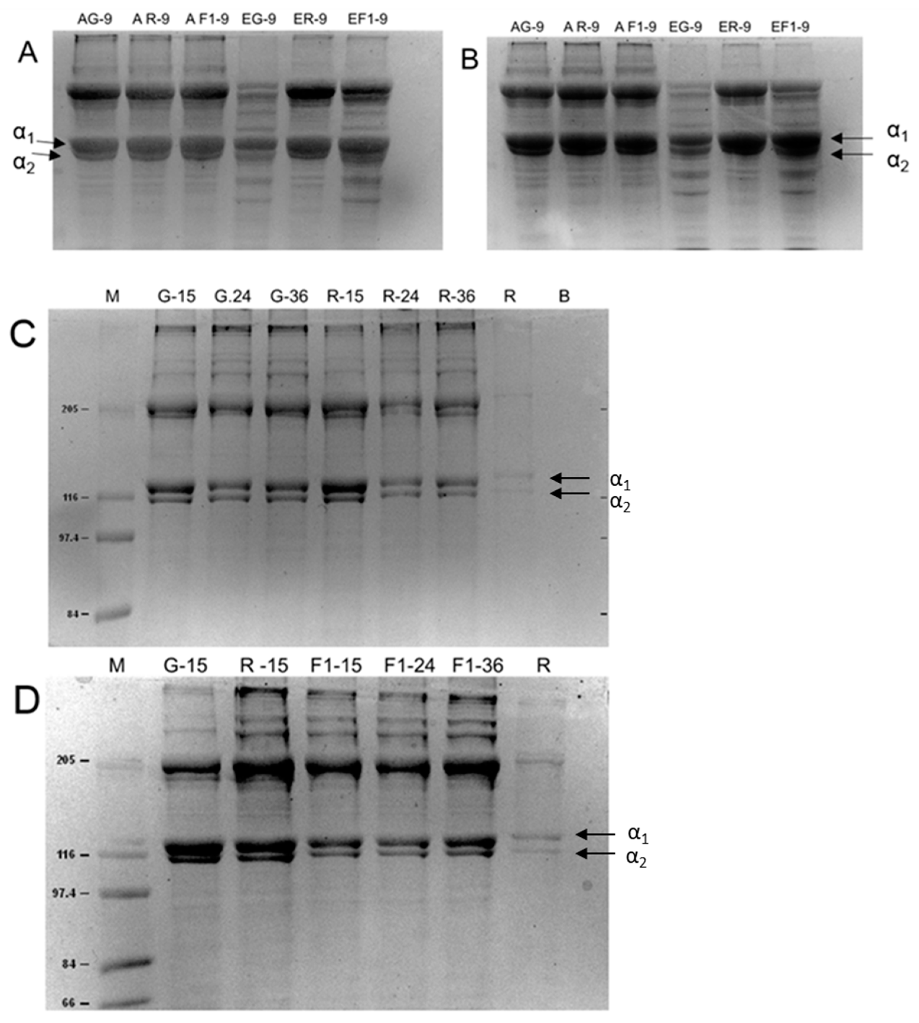 Molecules 27 01123 g002 Molecules 27 01123 g002