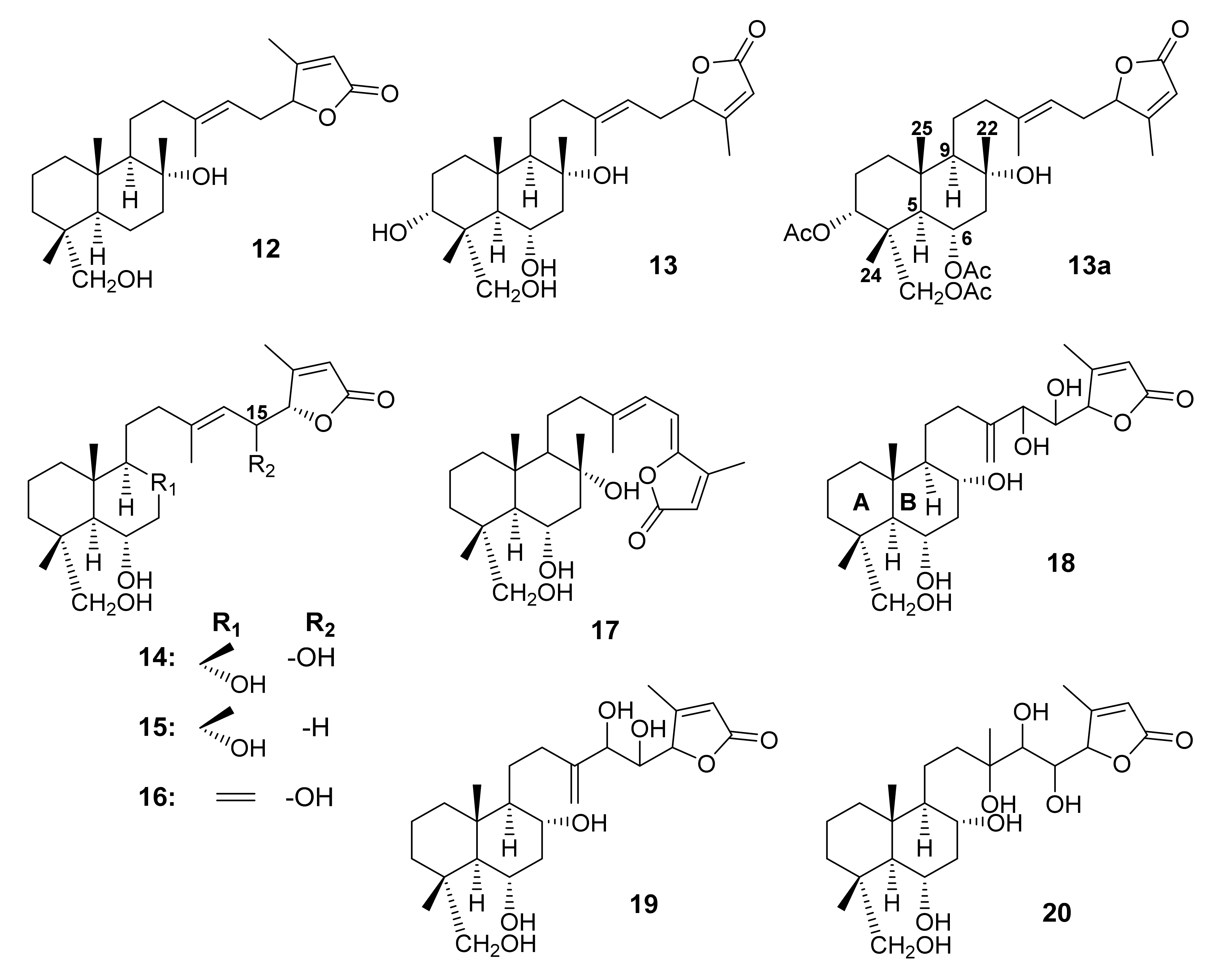 Molecules 27 01128 g006 Molecules 27 01128 g006