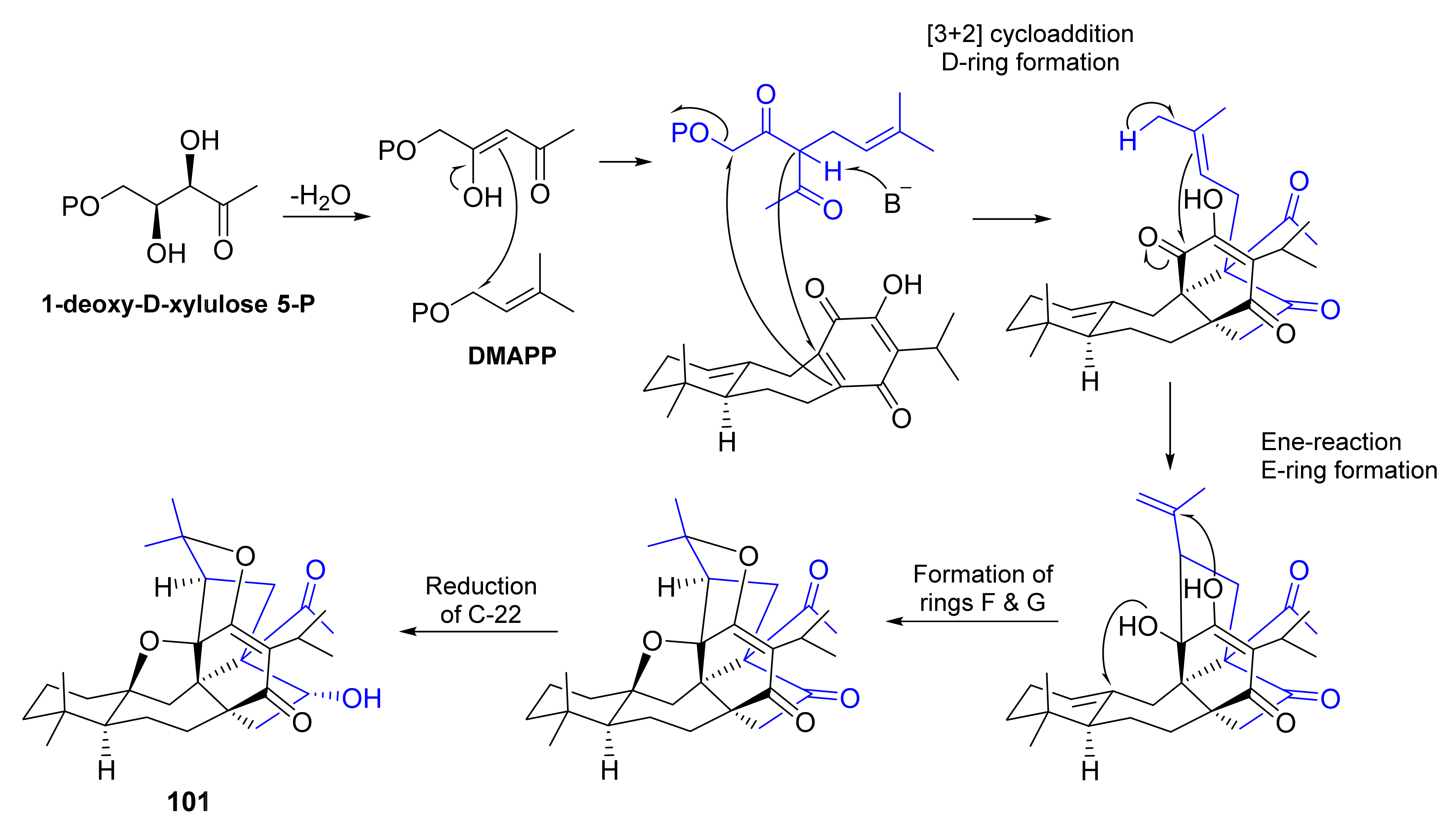 Molecules 27 01128 g025 Molecules 27 01128 g025