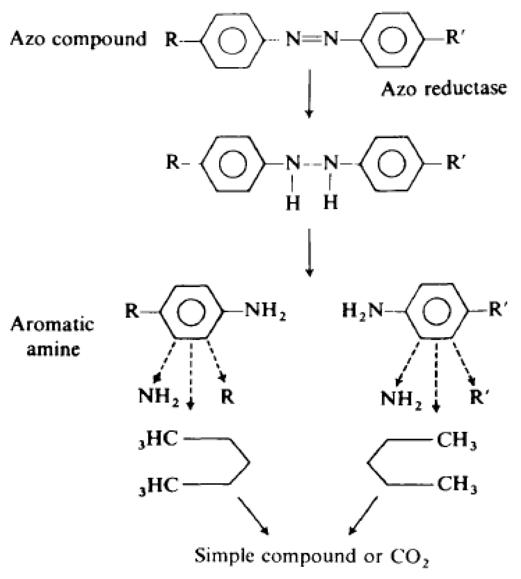 Molecules 27 01141 g002 Molecules 27 01141 g002