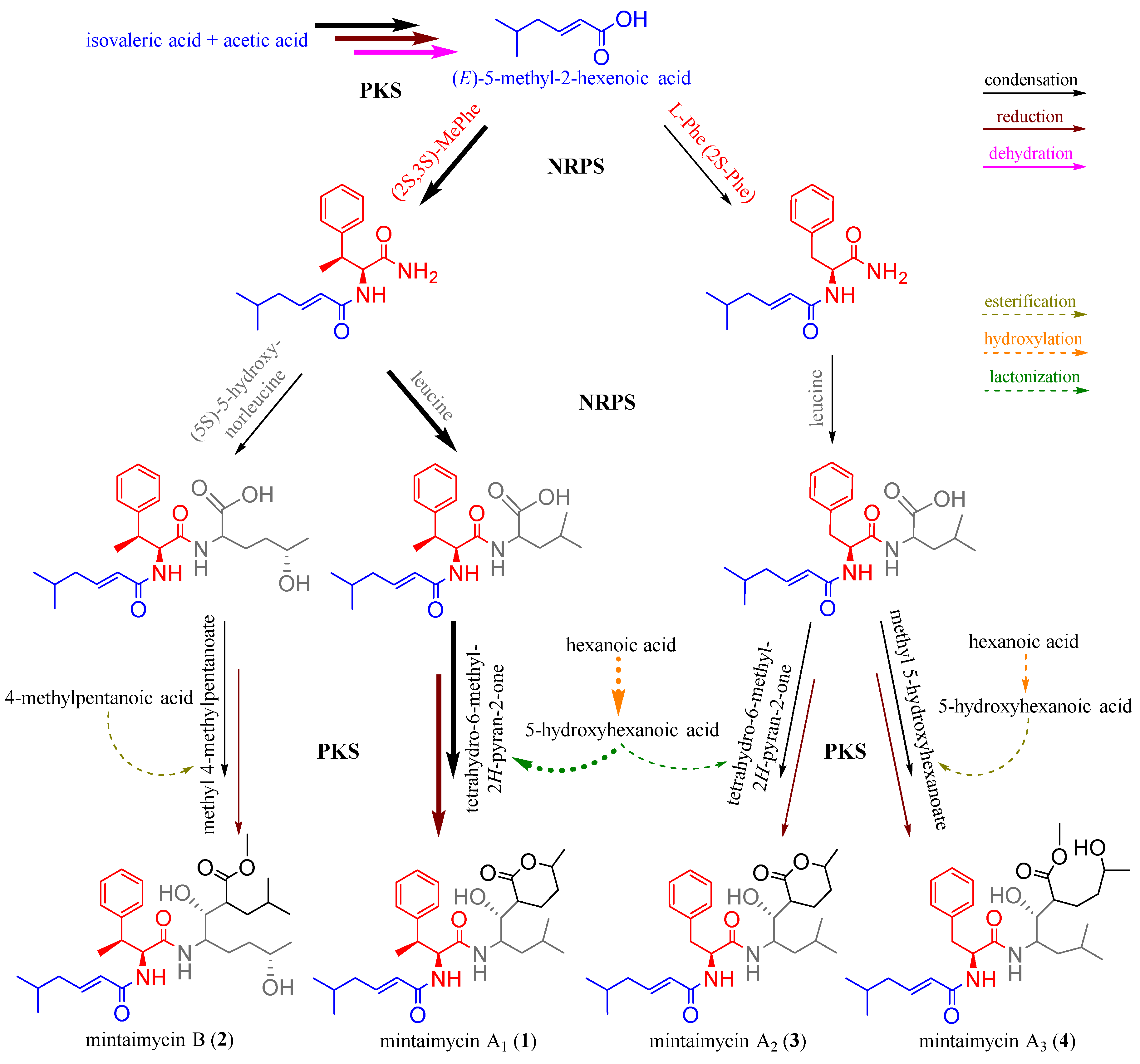 Molecules 27 01150 g004