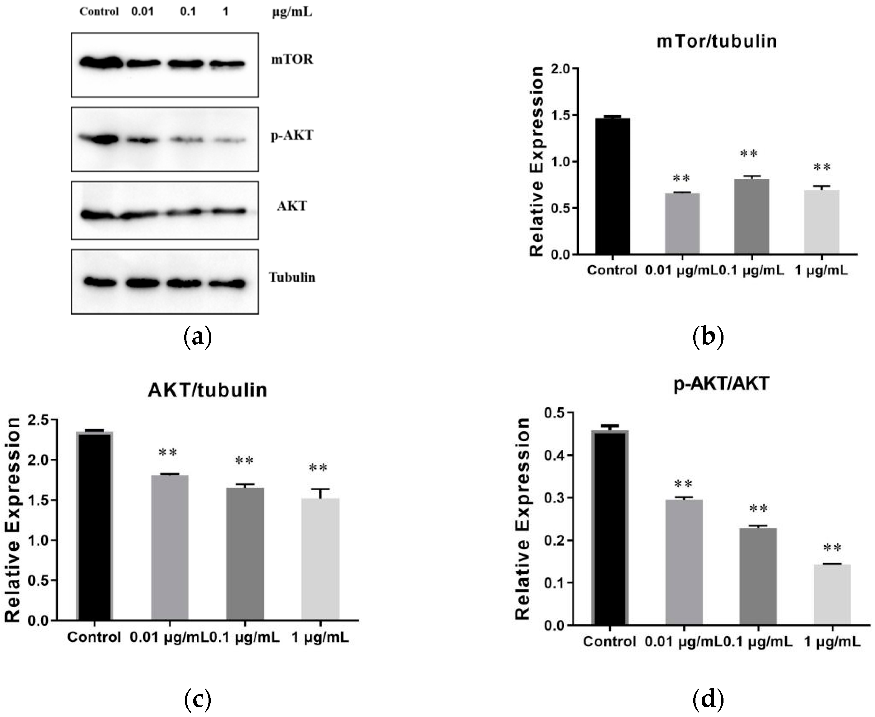 Molecules 27 01153 g007